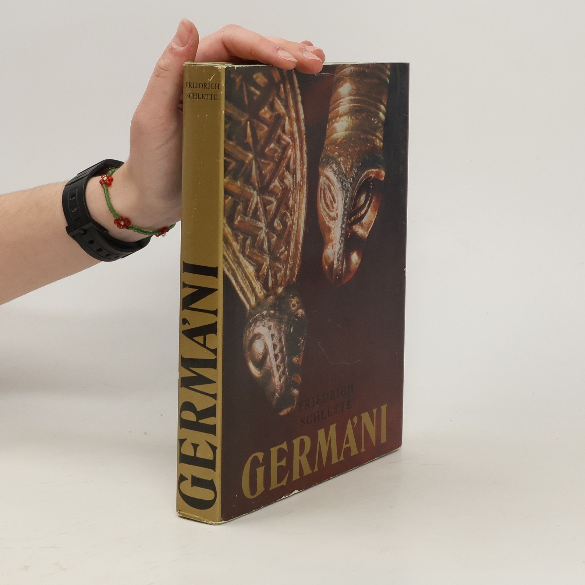 Friedrich Schlette Germáni mezi Thorsbergem a Ravennou