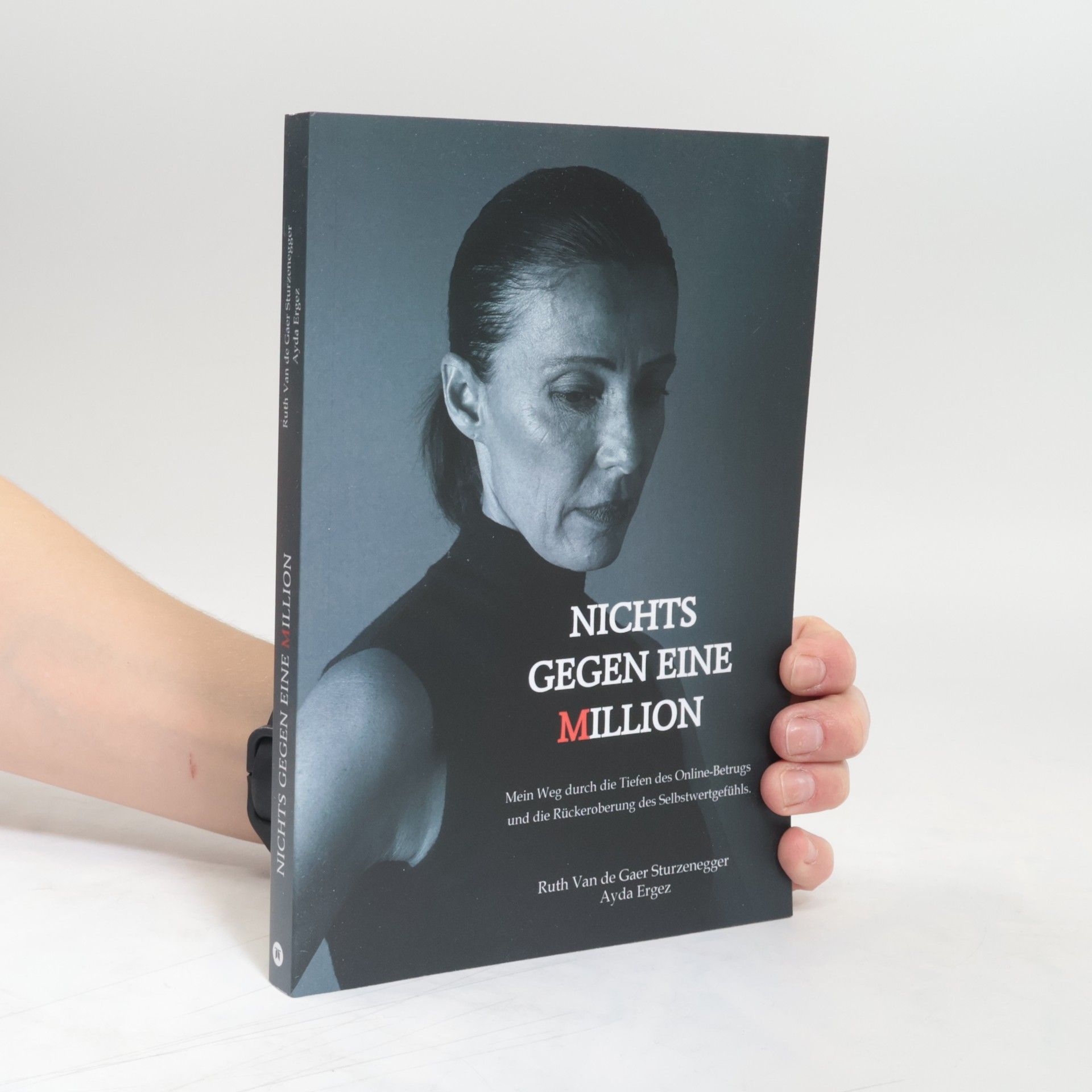 de Gaer Sturzenegger Nichts gegen eine Million ¿ die wahre Geschichte eines Online-Betrugs