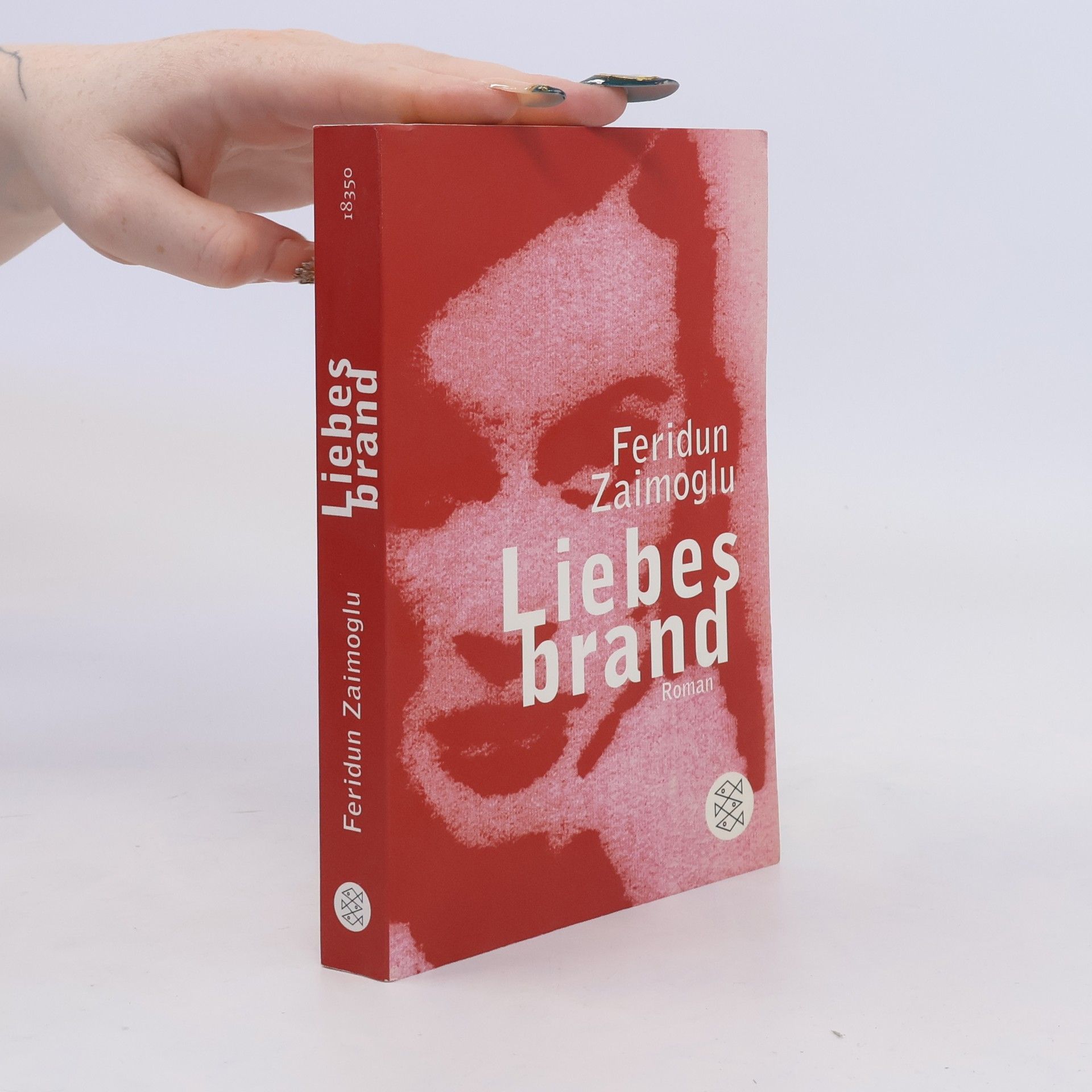 Feridun Zaimoglu Liebesbrand