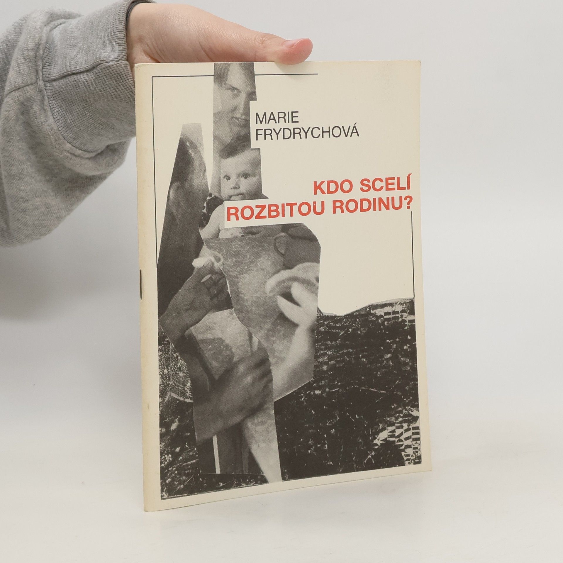 Marie Frydrychová Kdo scelí rozbitou rodinu?
