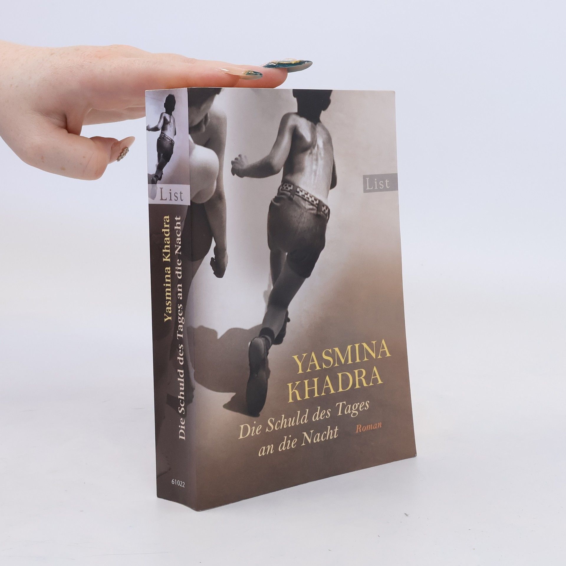 Yasmina Khadra Die Schuld des Tages an die Nacht