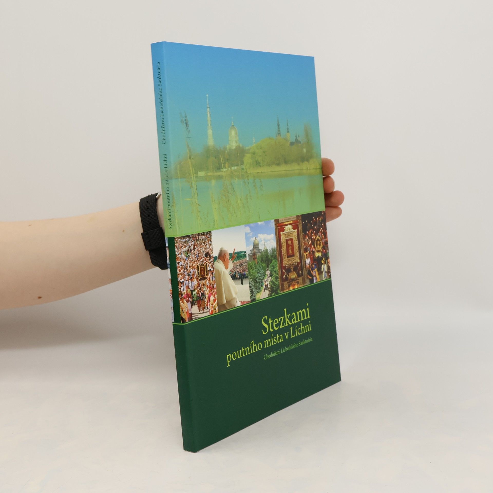 Kolektív autorov Stezkami poutního místa v Líchni