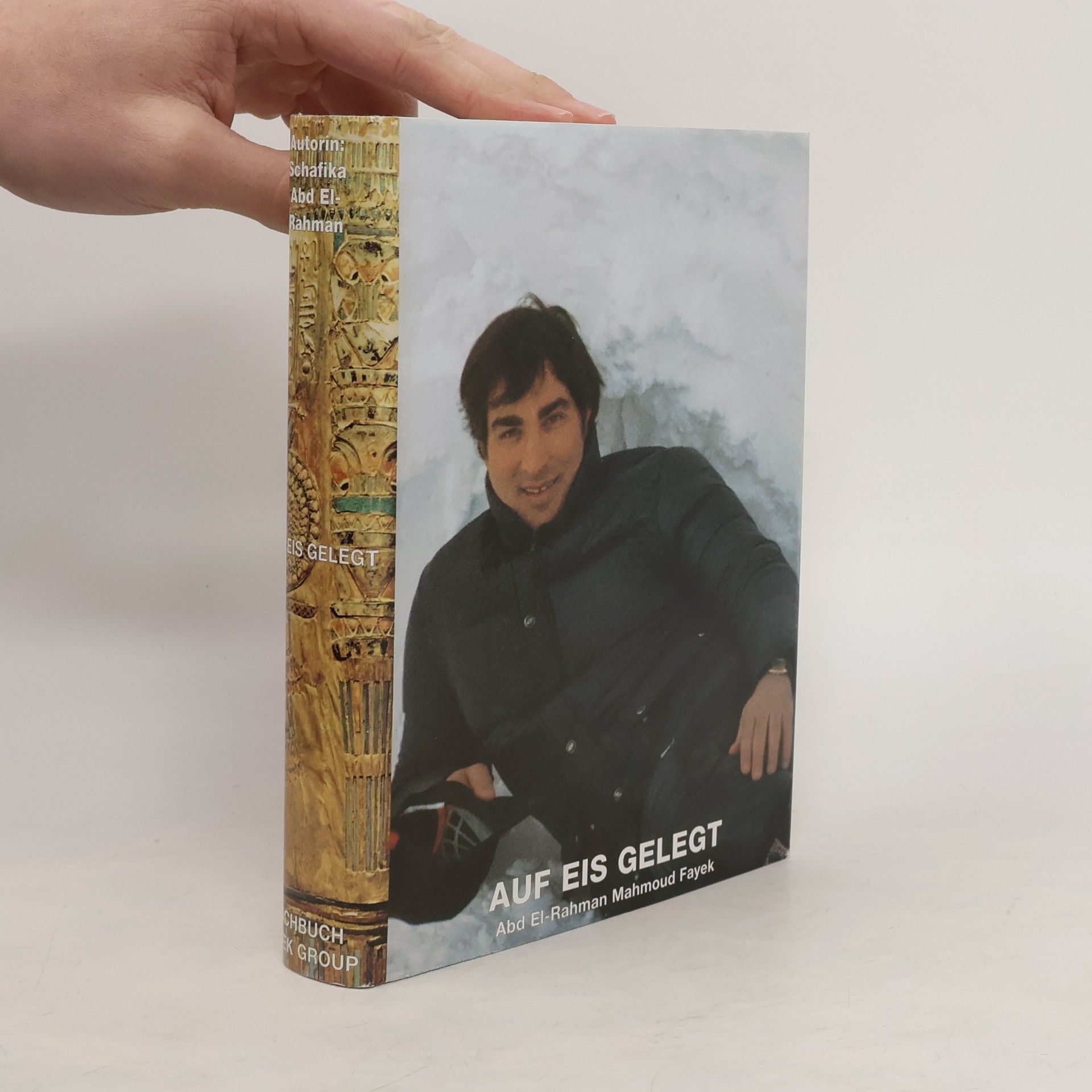 Abd El-Rahman Mahmoud Fayek Auf Eis gelegt