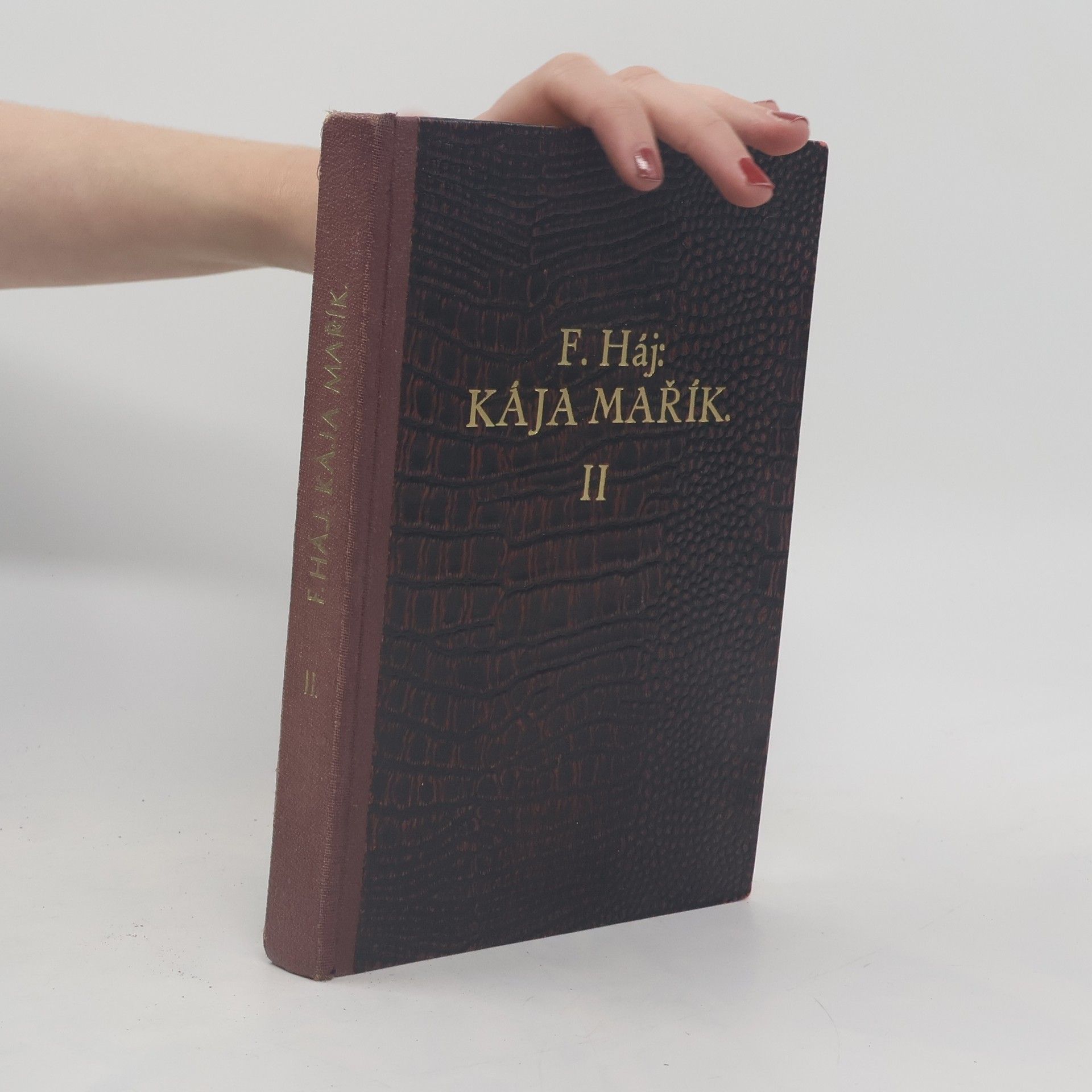 Felix Háj Školák Kája Mařík II.