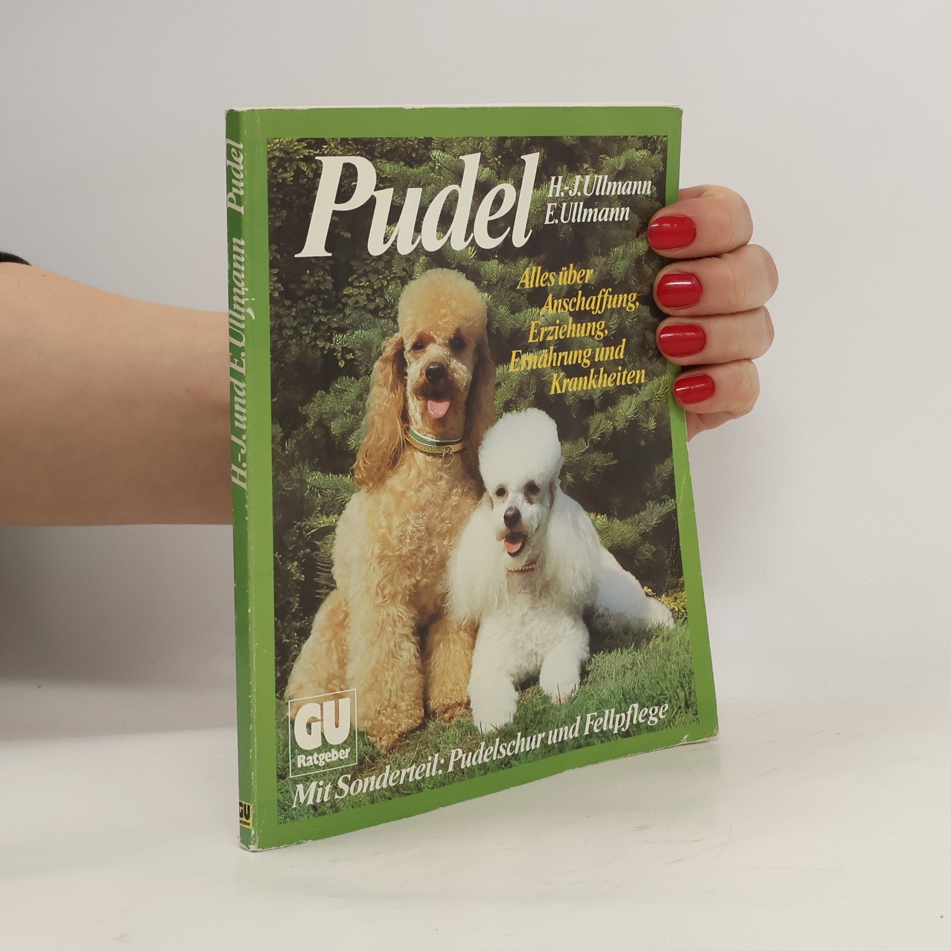 Pudel