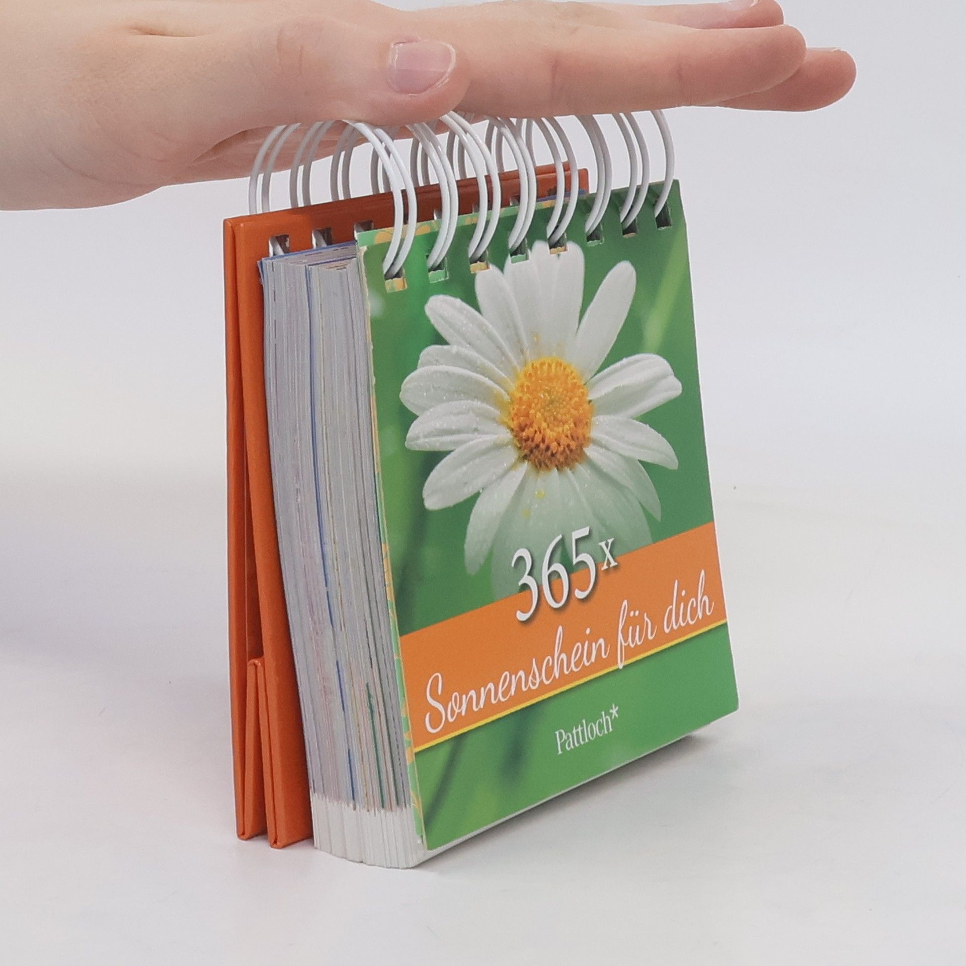Autorenkollektiv 365 x Sonnenschein für dich