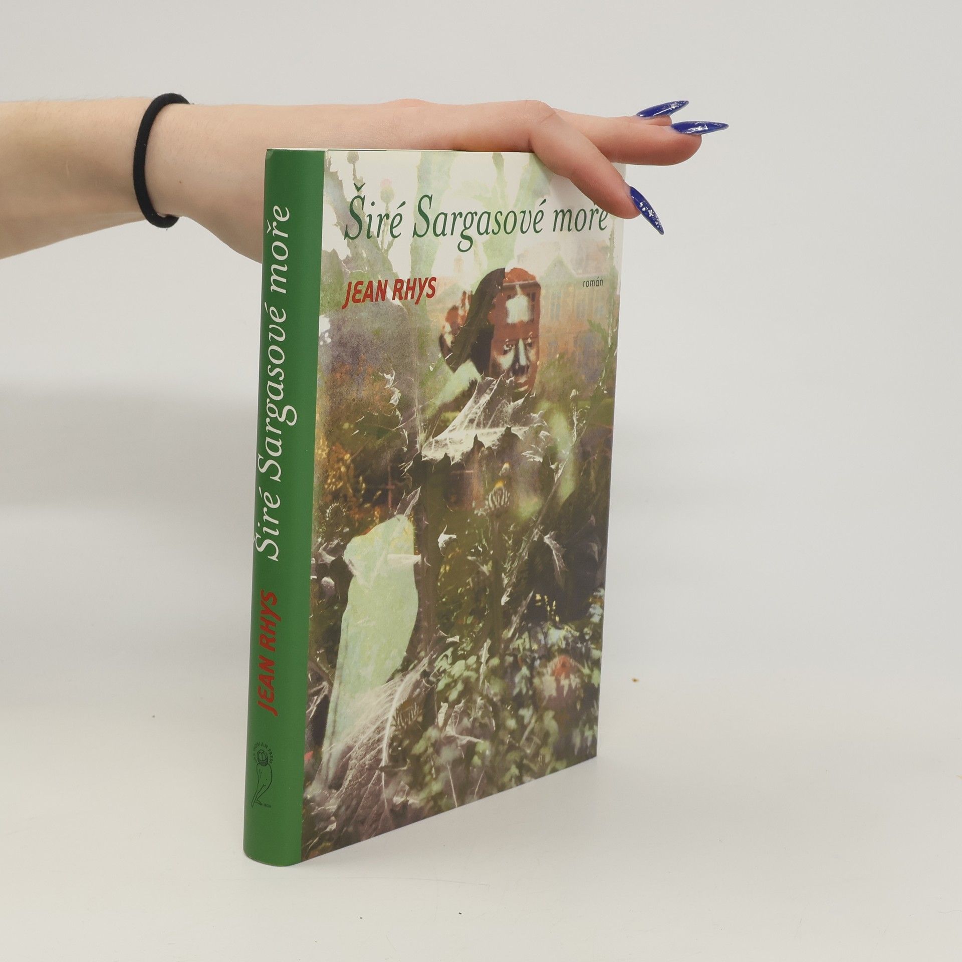 Jean Rhys Širé Sargasové moře