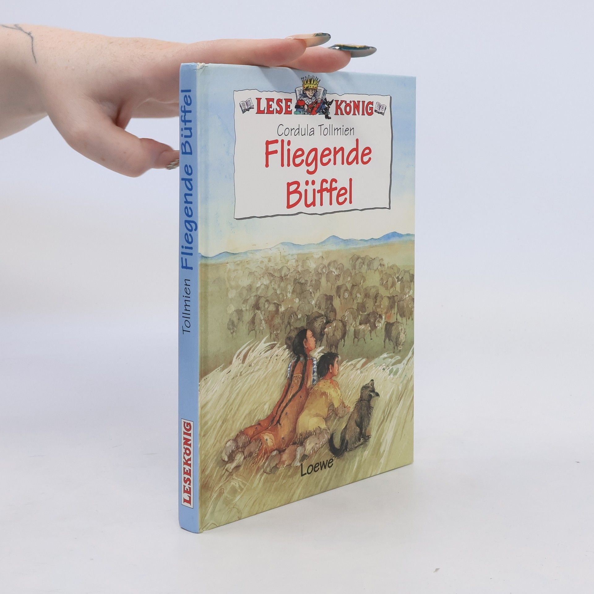 Cordula Tollmien Fliegende Büffel