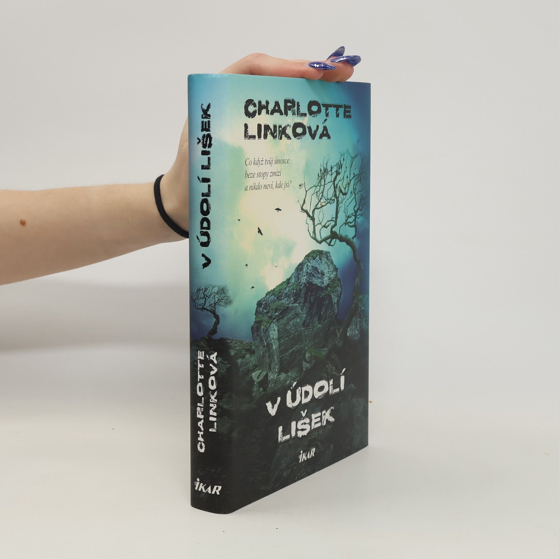 Charlotte Link V údolí lišek
