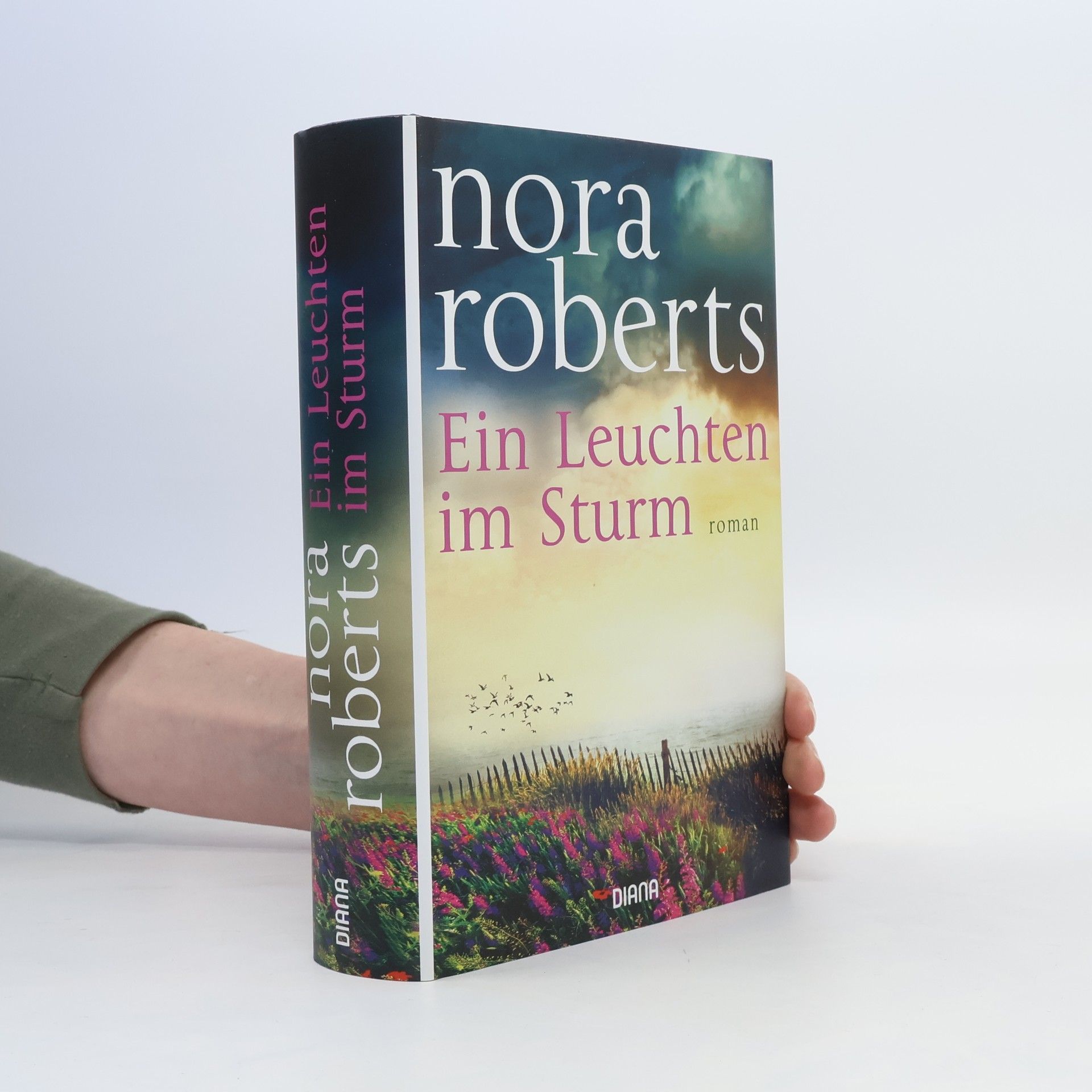 Nora Roberts Ein Leuchten im Sturm