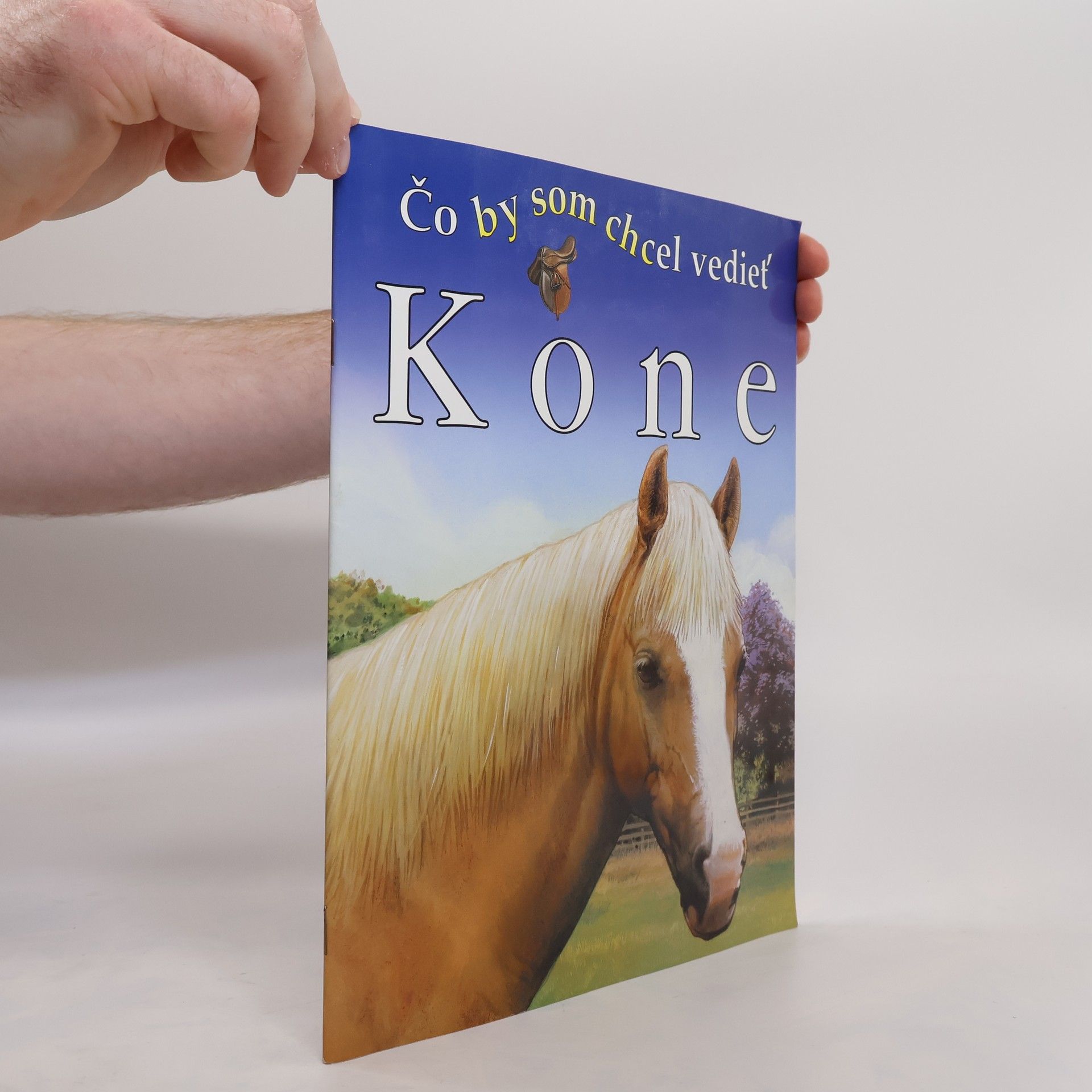 Jackie Budd Kone. Čo by som chcel vedieť.
