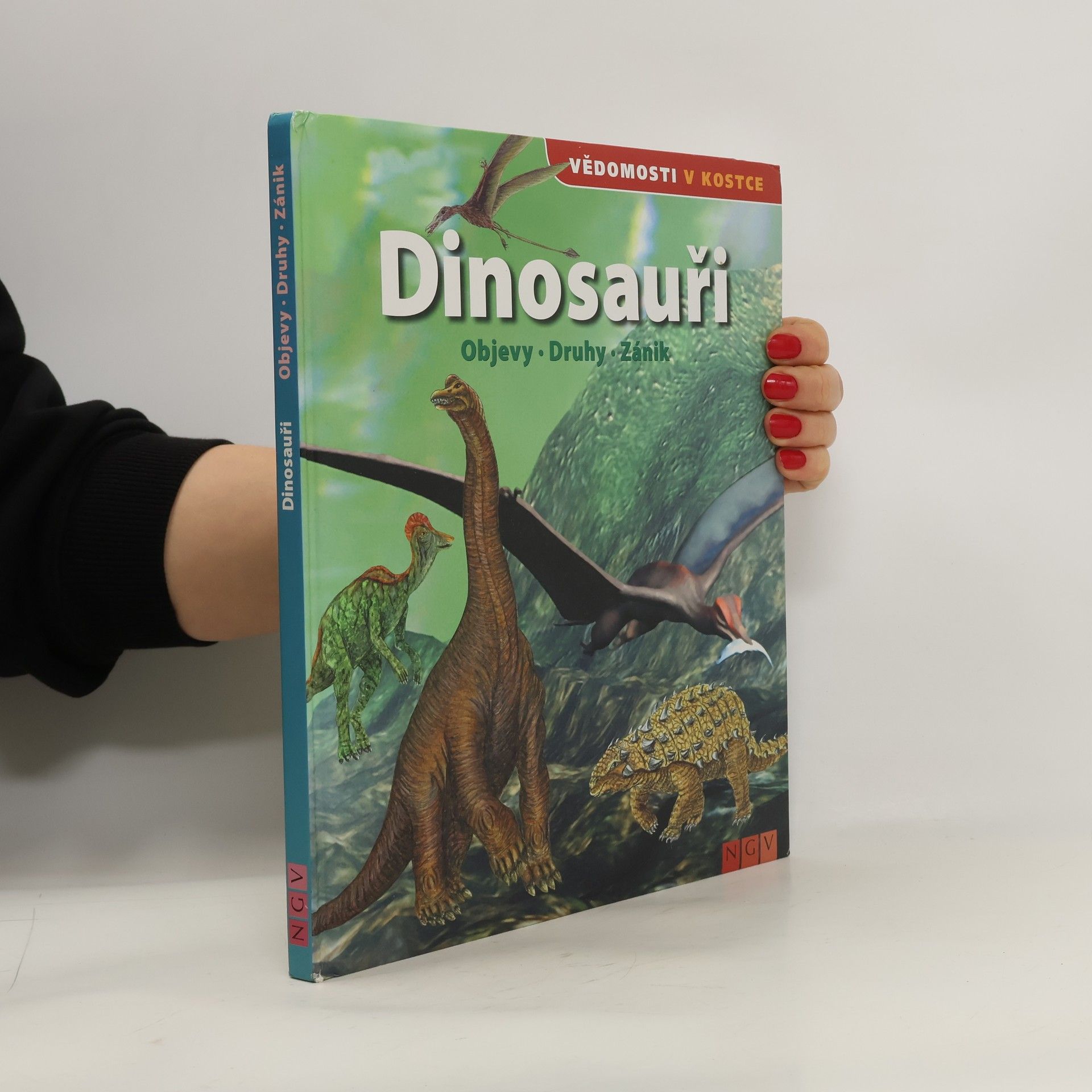 kolektiv Dinosauři