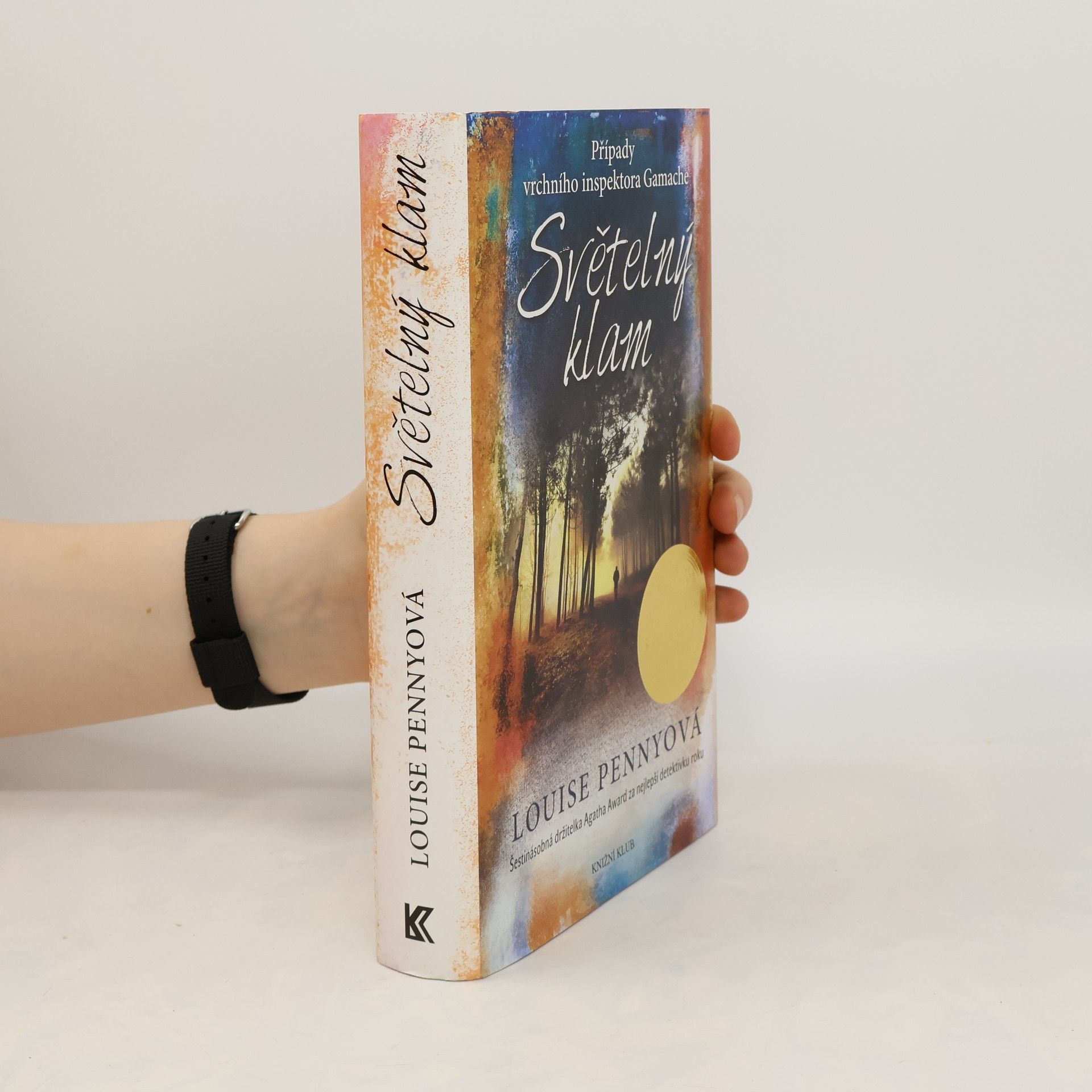 Louise Penny Světelný klam
