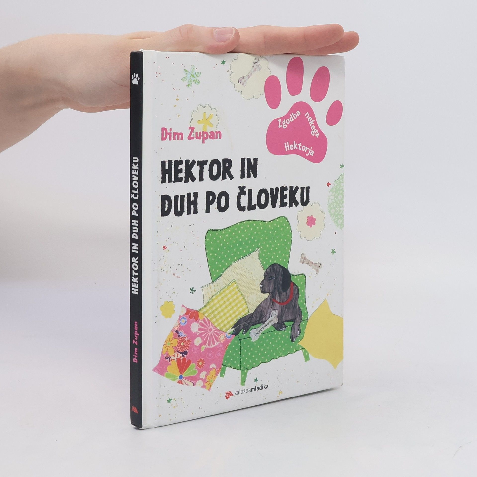 Dim Zupan Zgodba nekega Hektorja