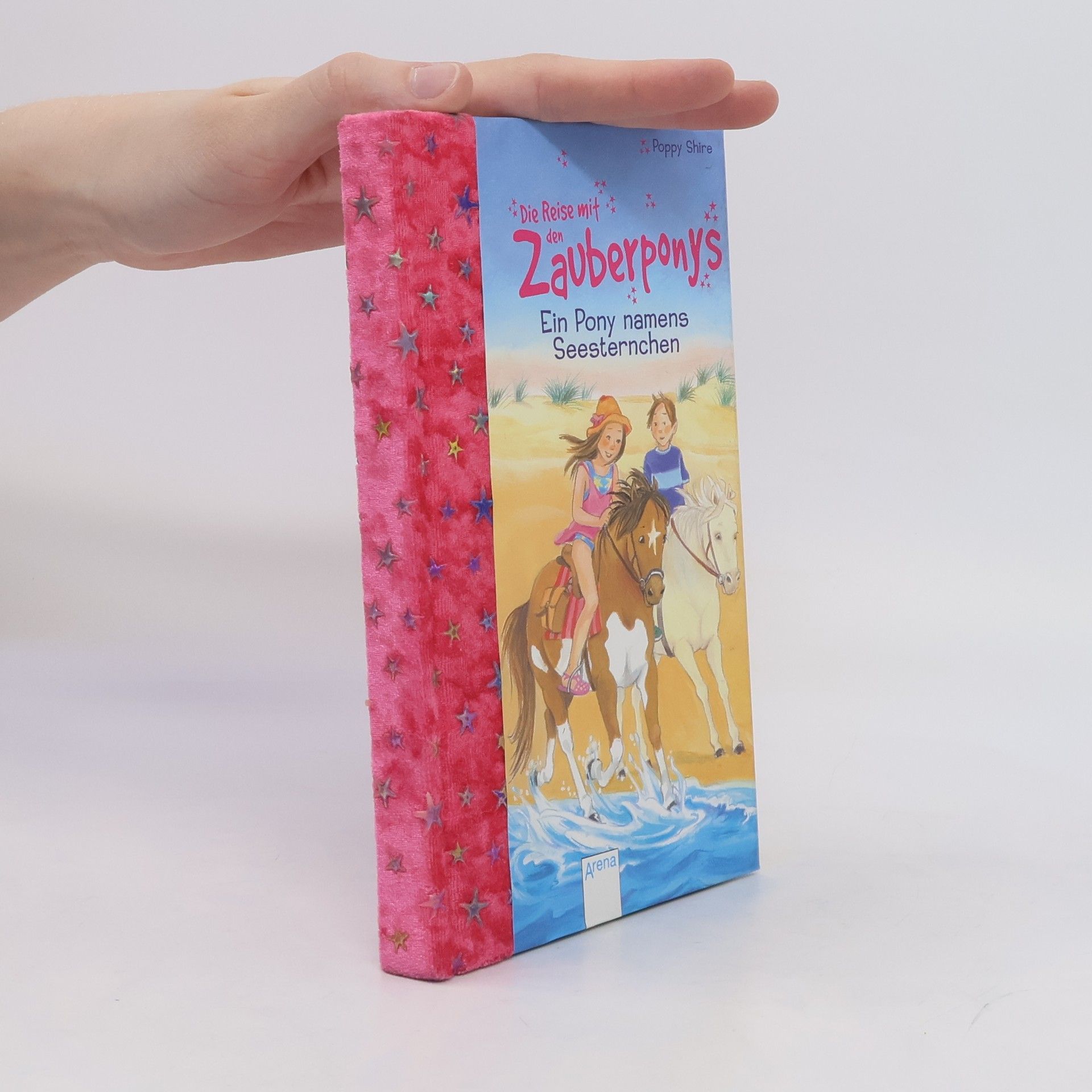 Eva Hierteis Die Reise mit den Zauberponys
