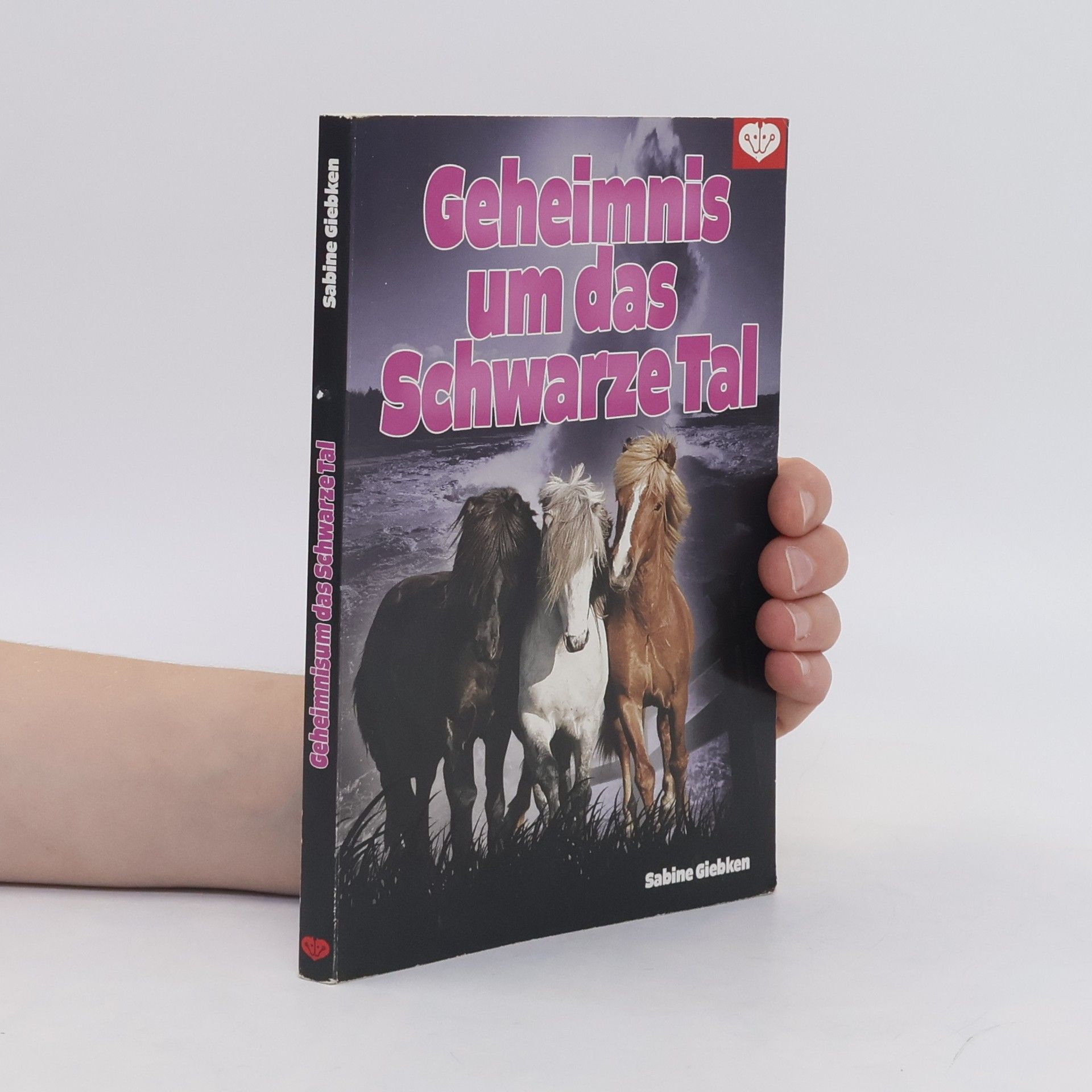 Sabine Giebken Geheimnis um das Schwarze Tal