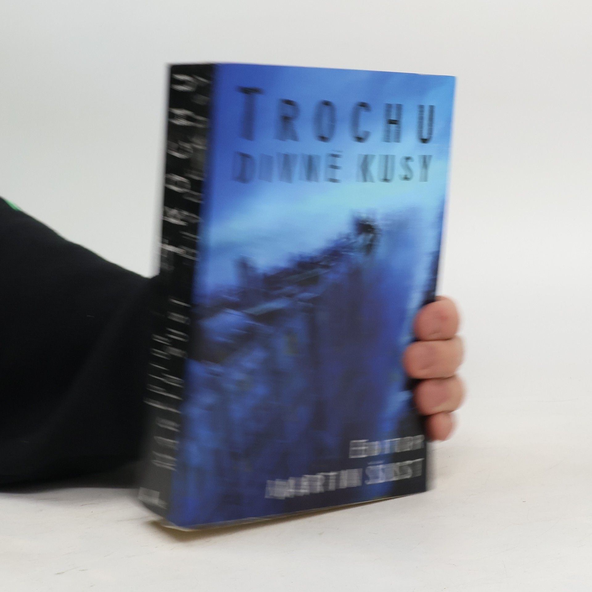 Martin Šust Trochu divné kusy