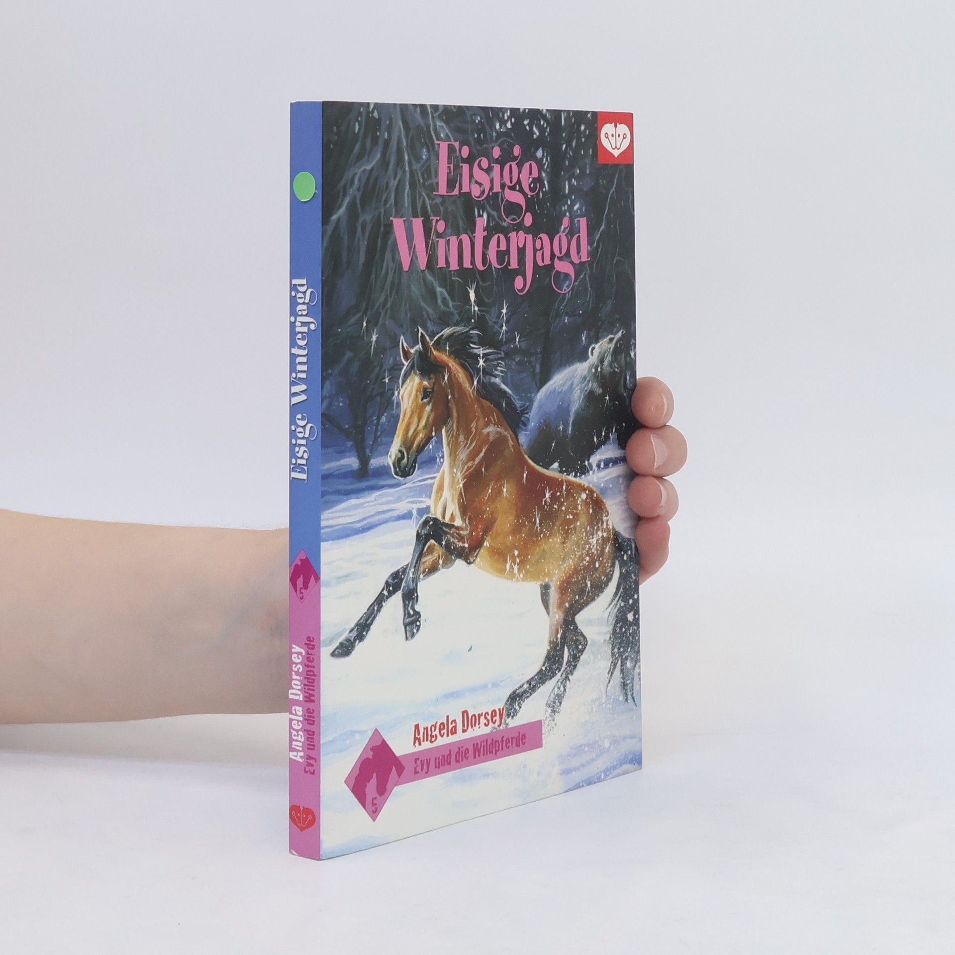 Suzanne Bürger Evy und die Wildpferde