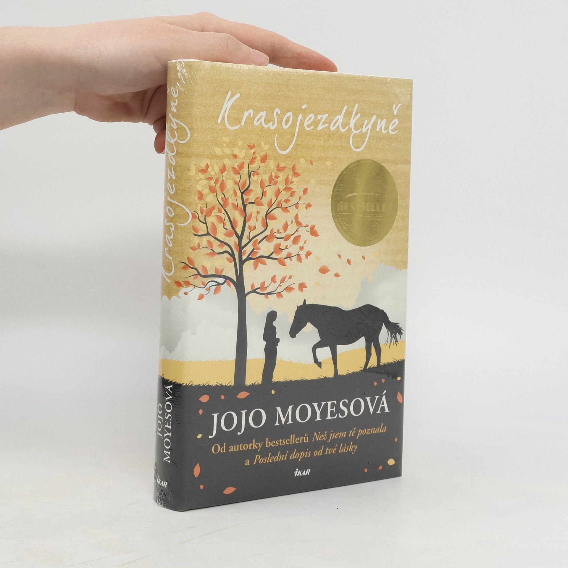 Jojo Moyesová Krasojezdkyně
