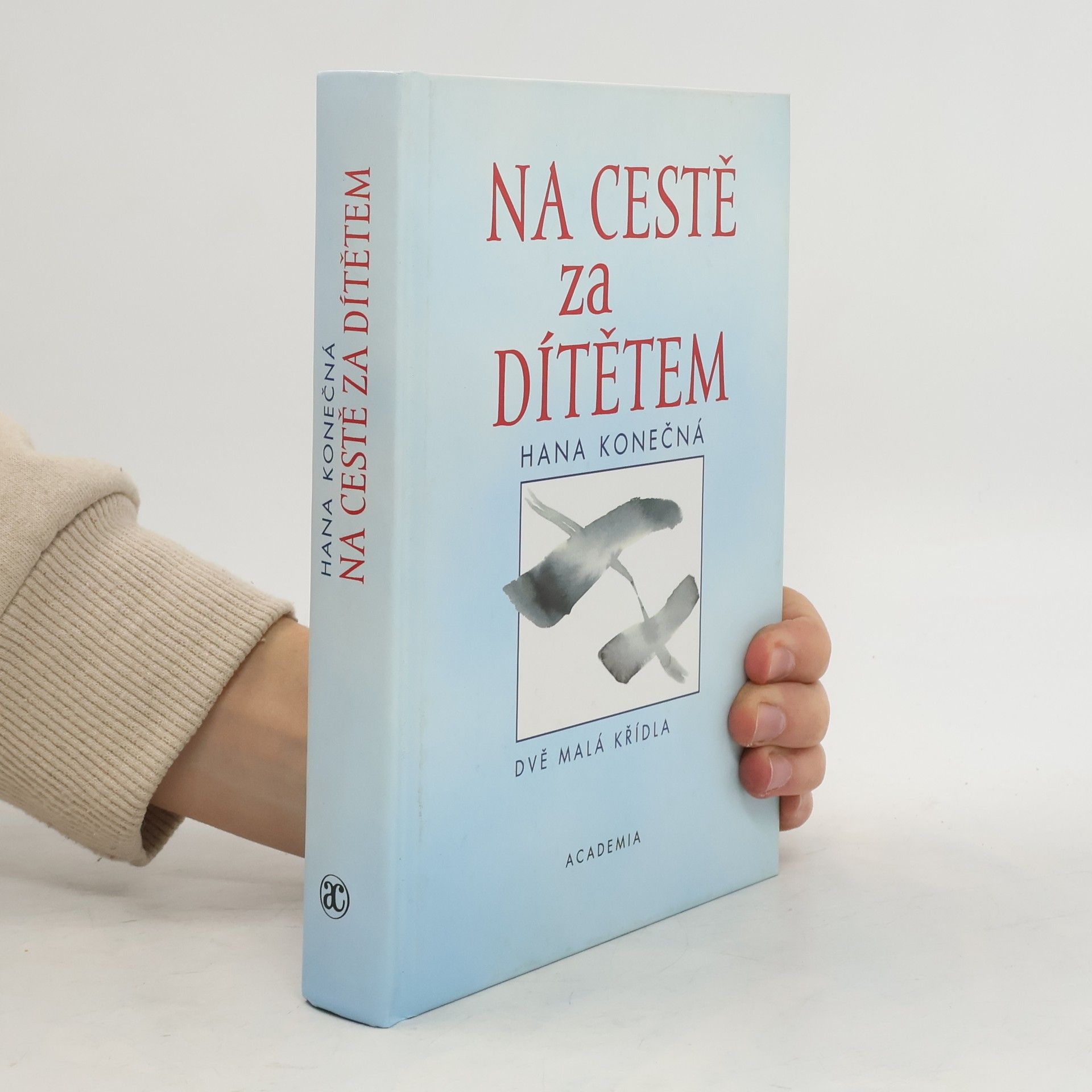 Hana Konečná Na cestě za dítětem. Dvě malá křídla