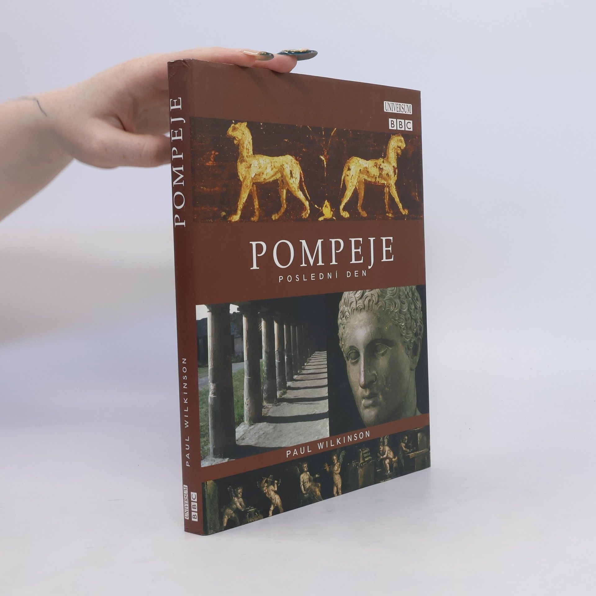 Paul Wilkinson Pompeje: poslední den