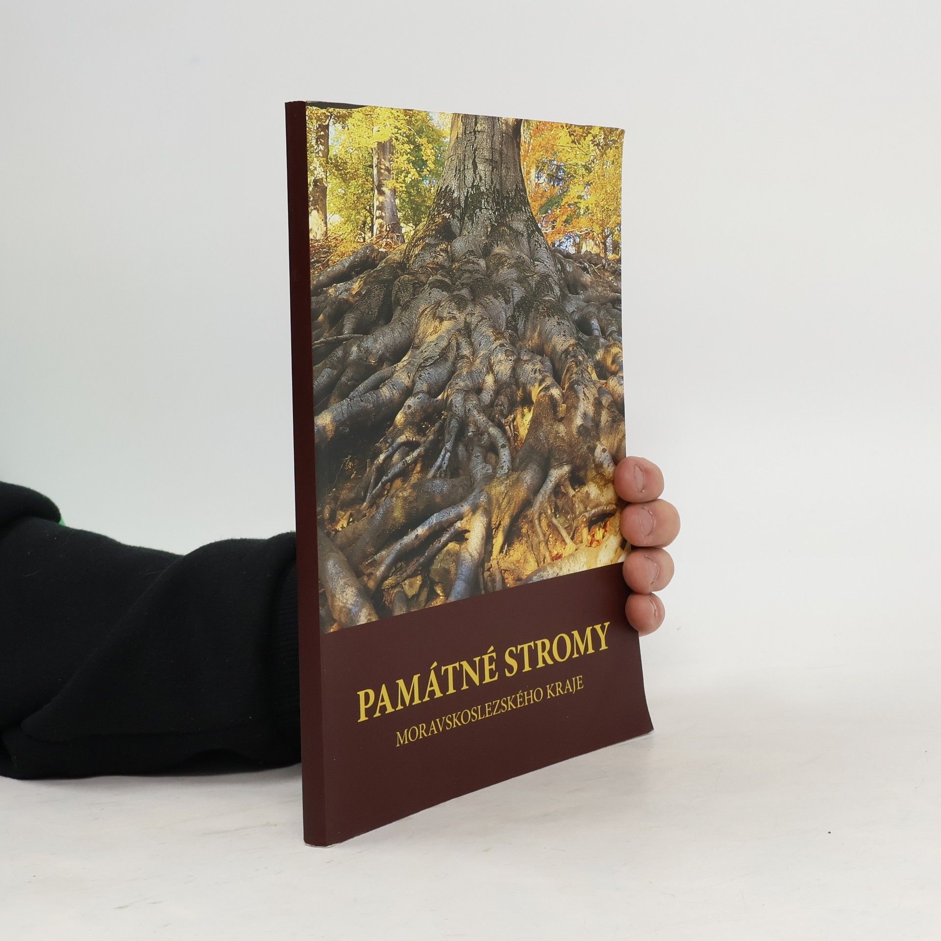 Eva Mračanská Památné stromy Moravskoslezského kraje
