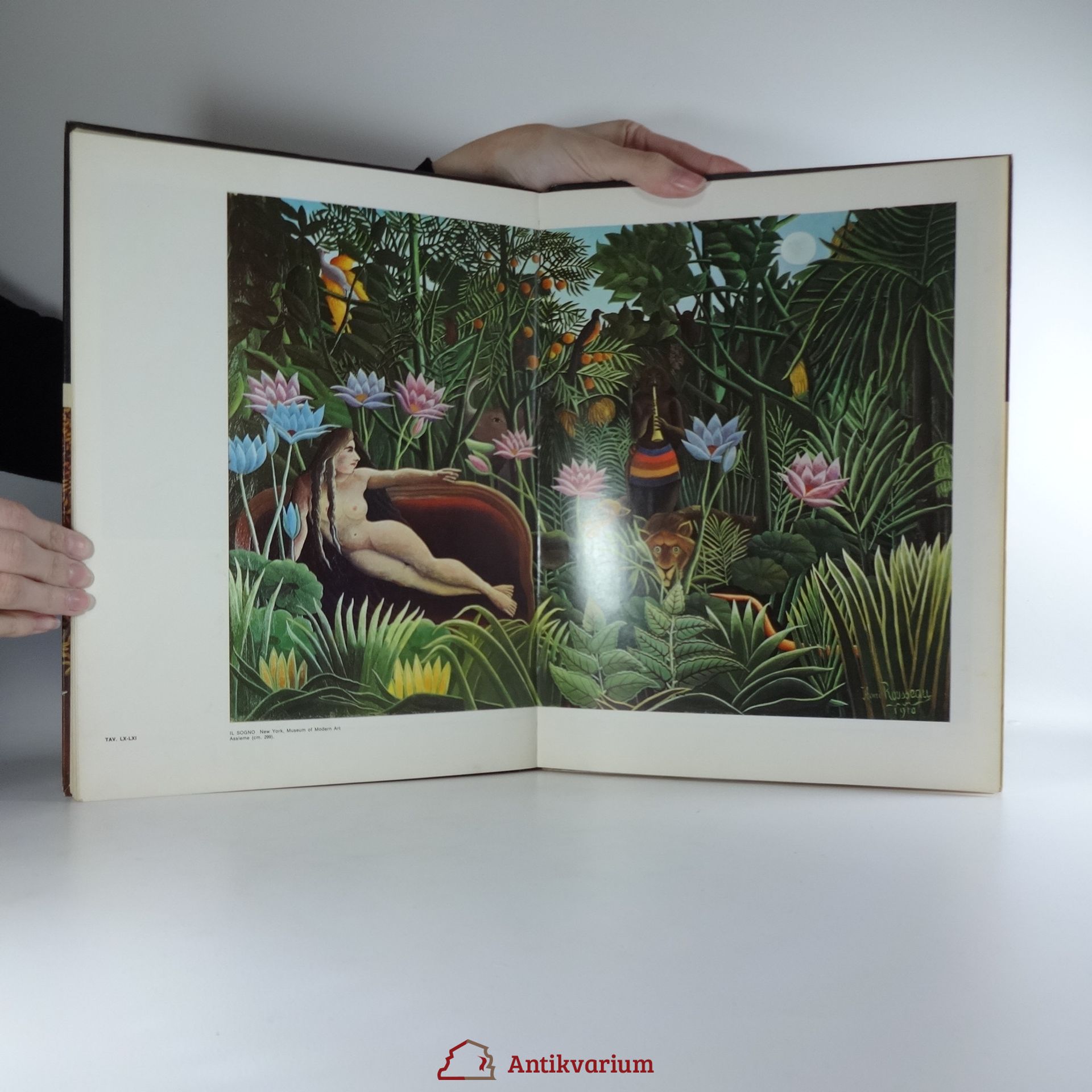 Henri Rousseau L'opera completa di Rousseau il Doganiere