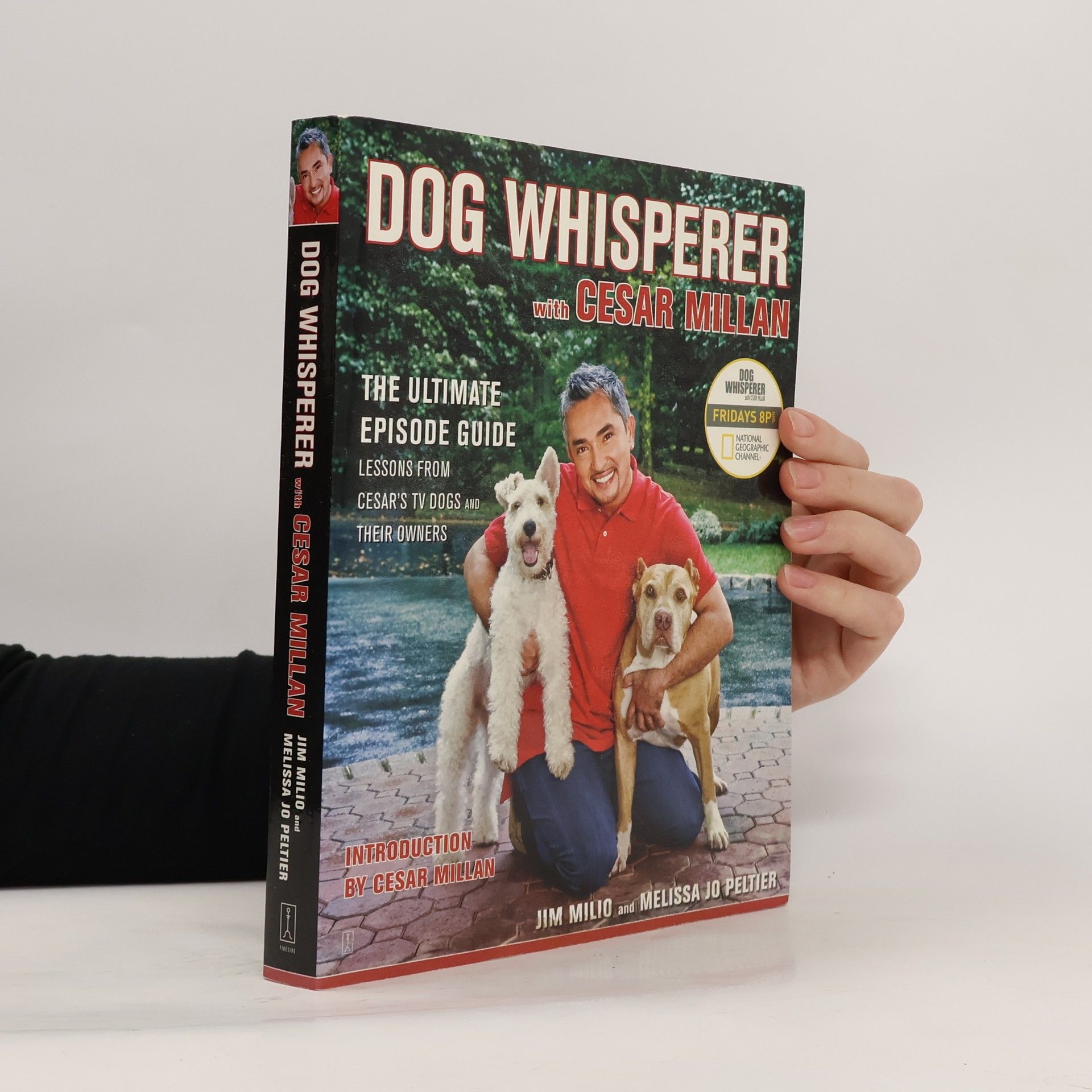 Jim Milio Dog whisperer with Cesar Millan : the ultimate episode guide