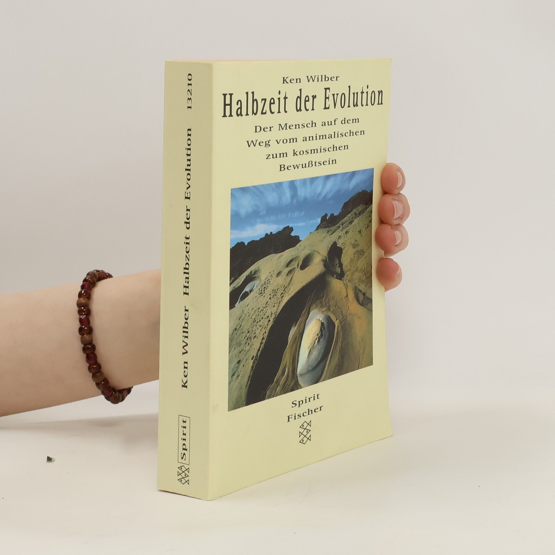 Ken Wilber Halbzeit der Evolution