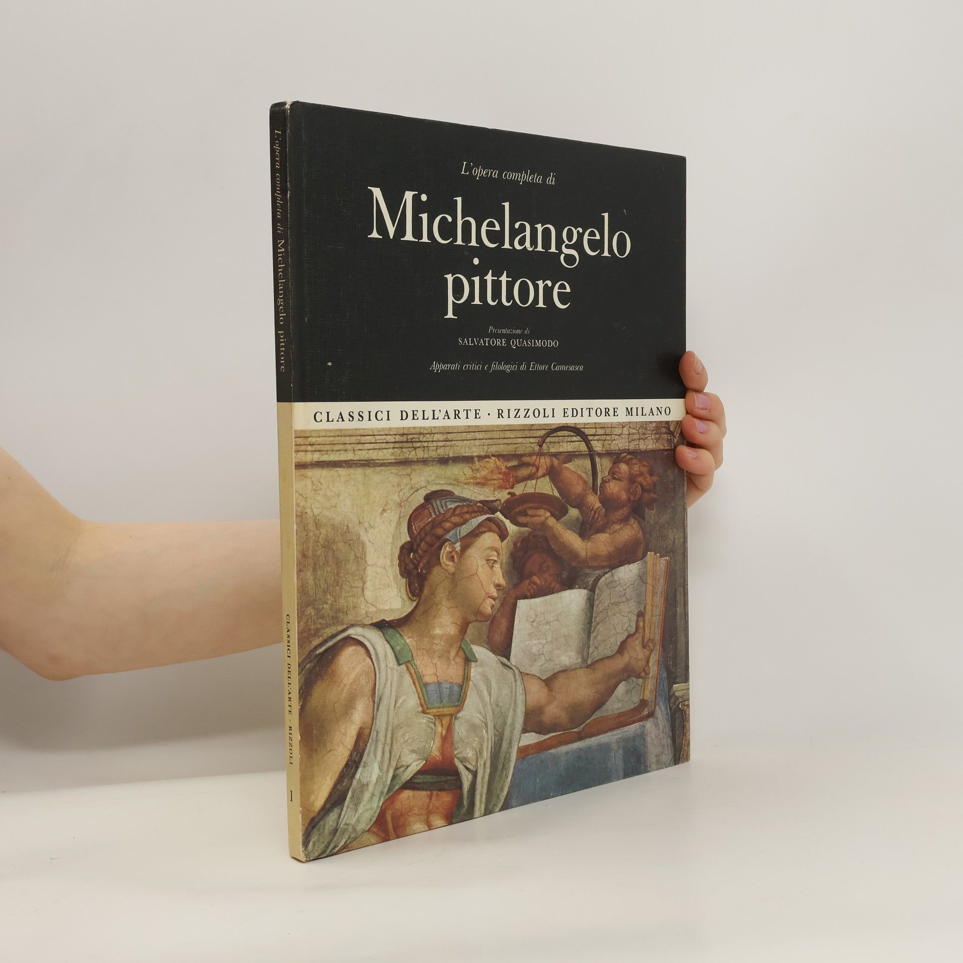 Autorenkollektiv L'opera completa di Michelangelo pittore