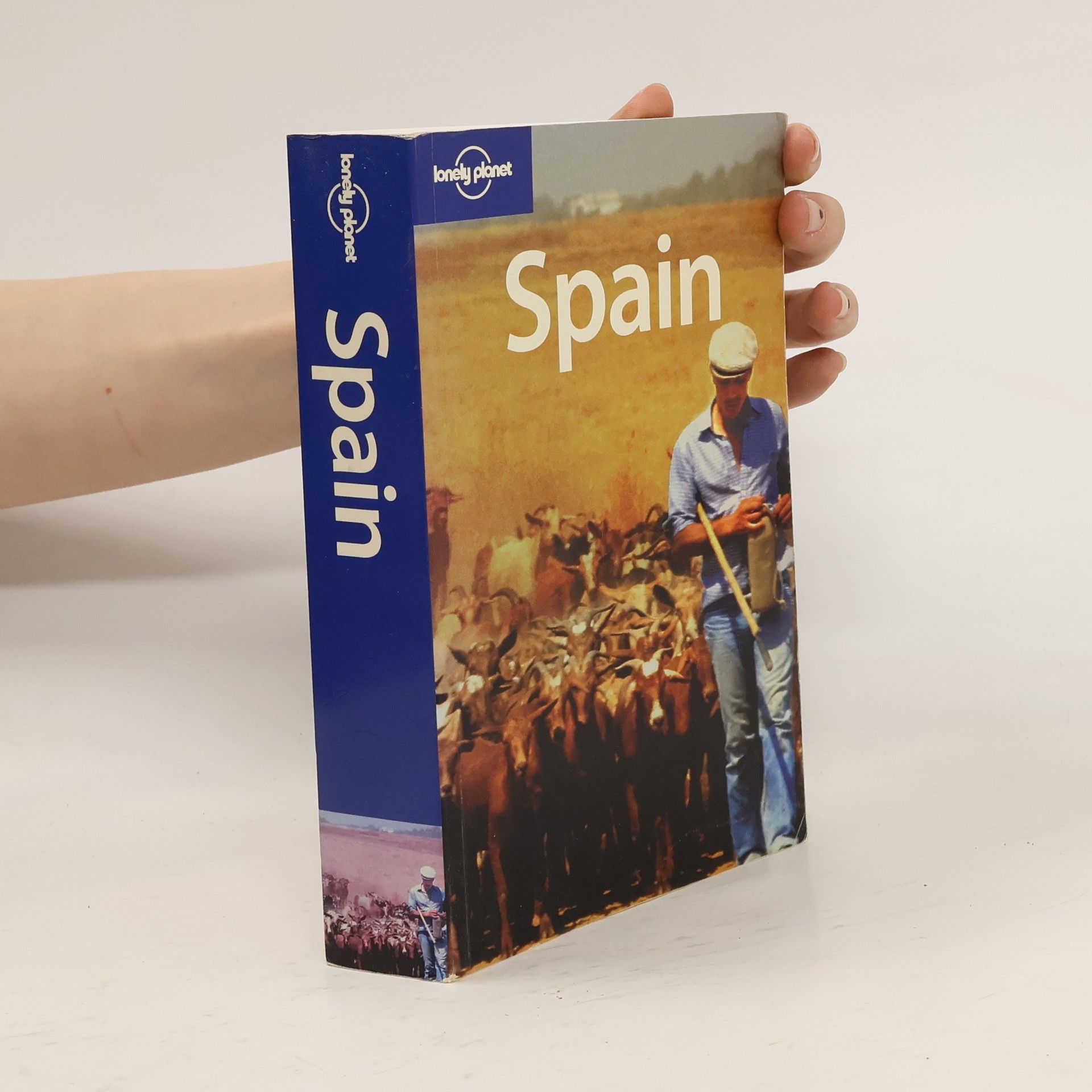 kolektiv Spain