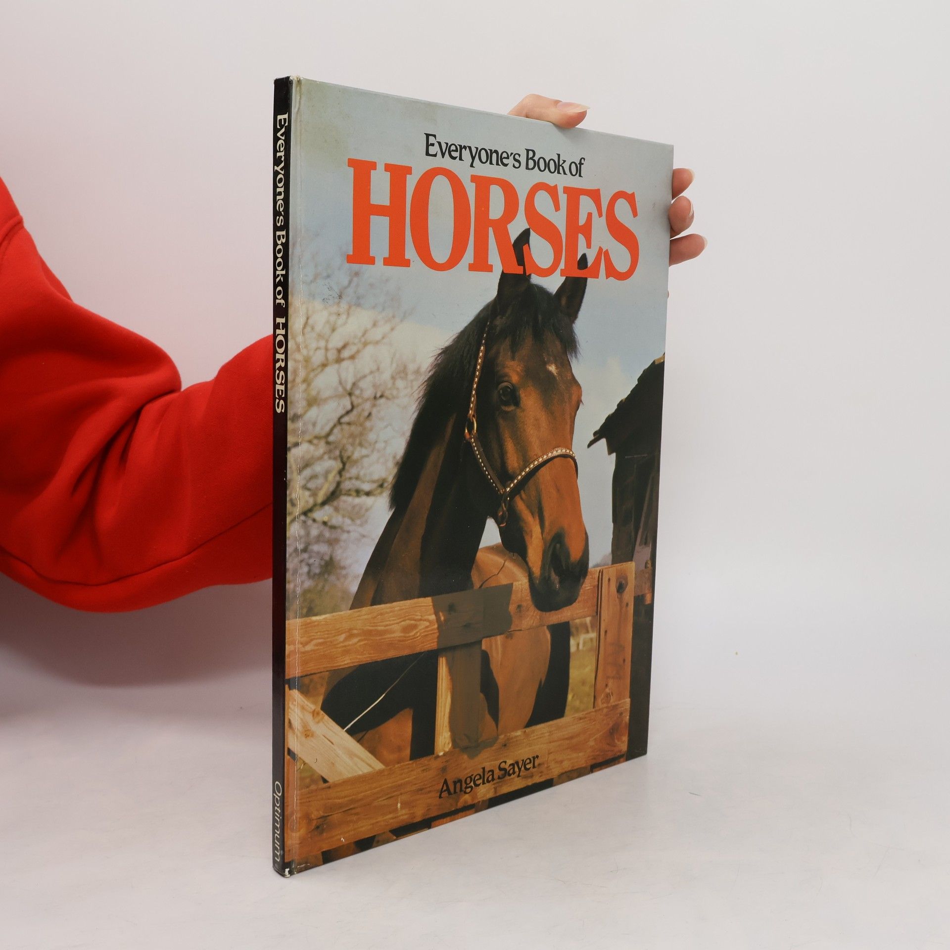 Angela Sayer Everyone's Book of Horses