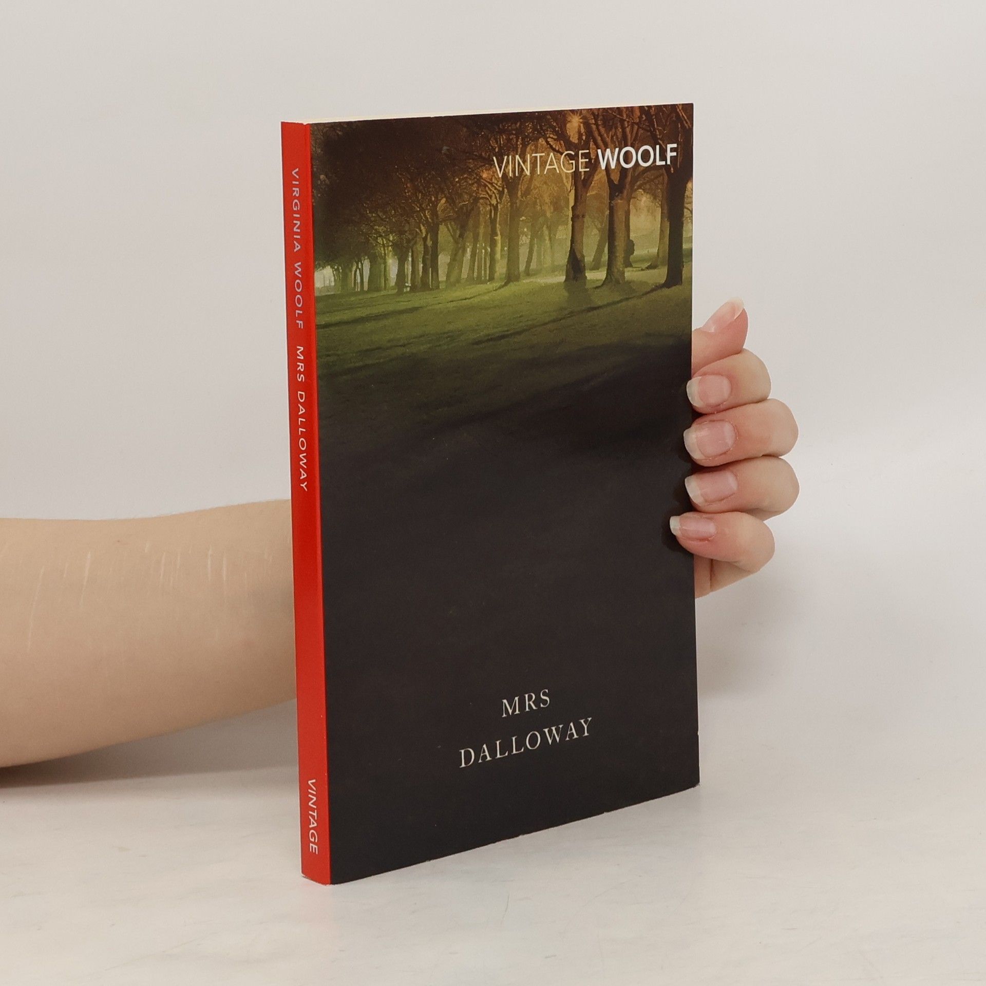 Virginia Woolf Mrs Dalloway