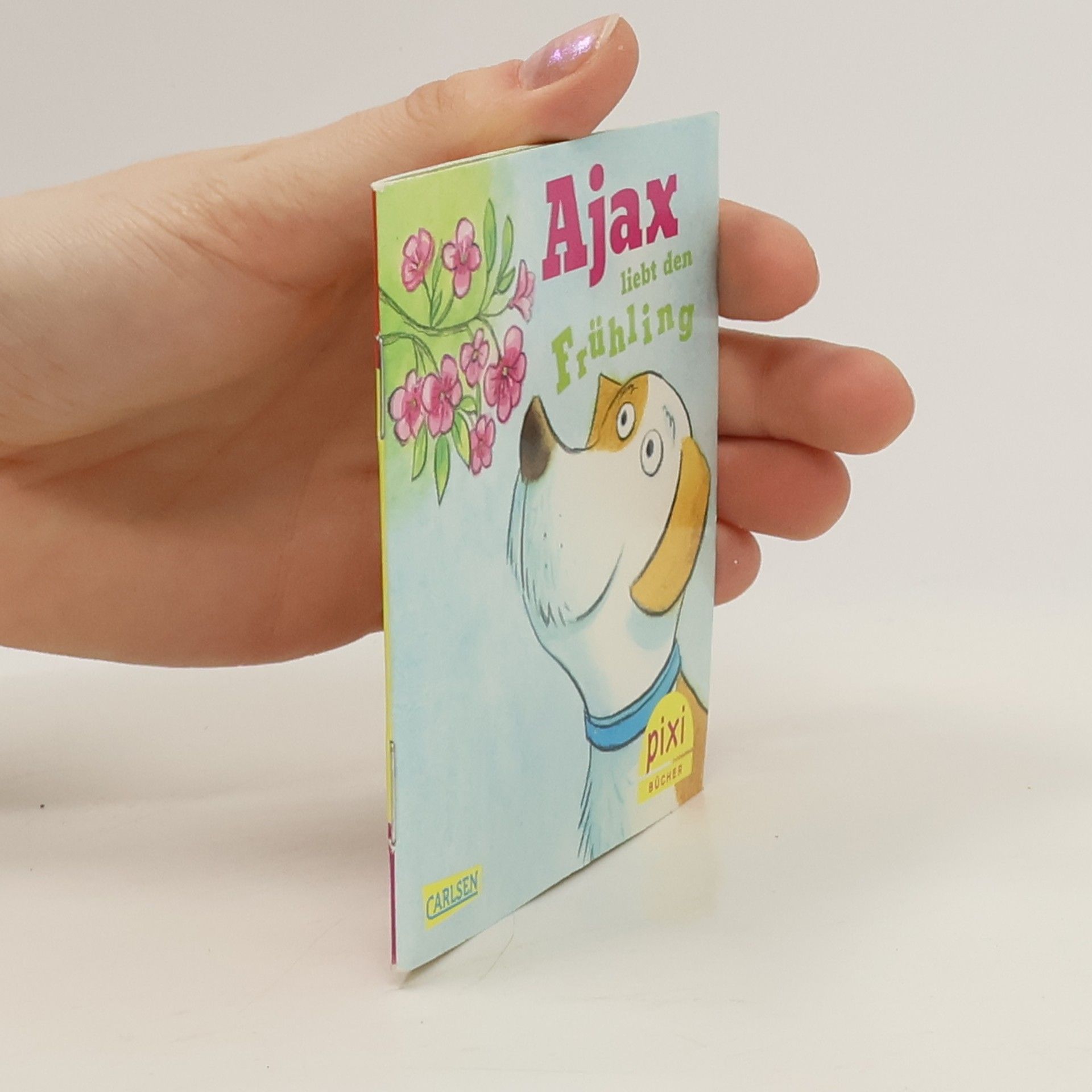 AA.VV. Ajax liebt den Frühling