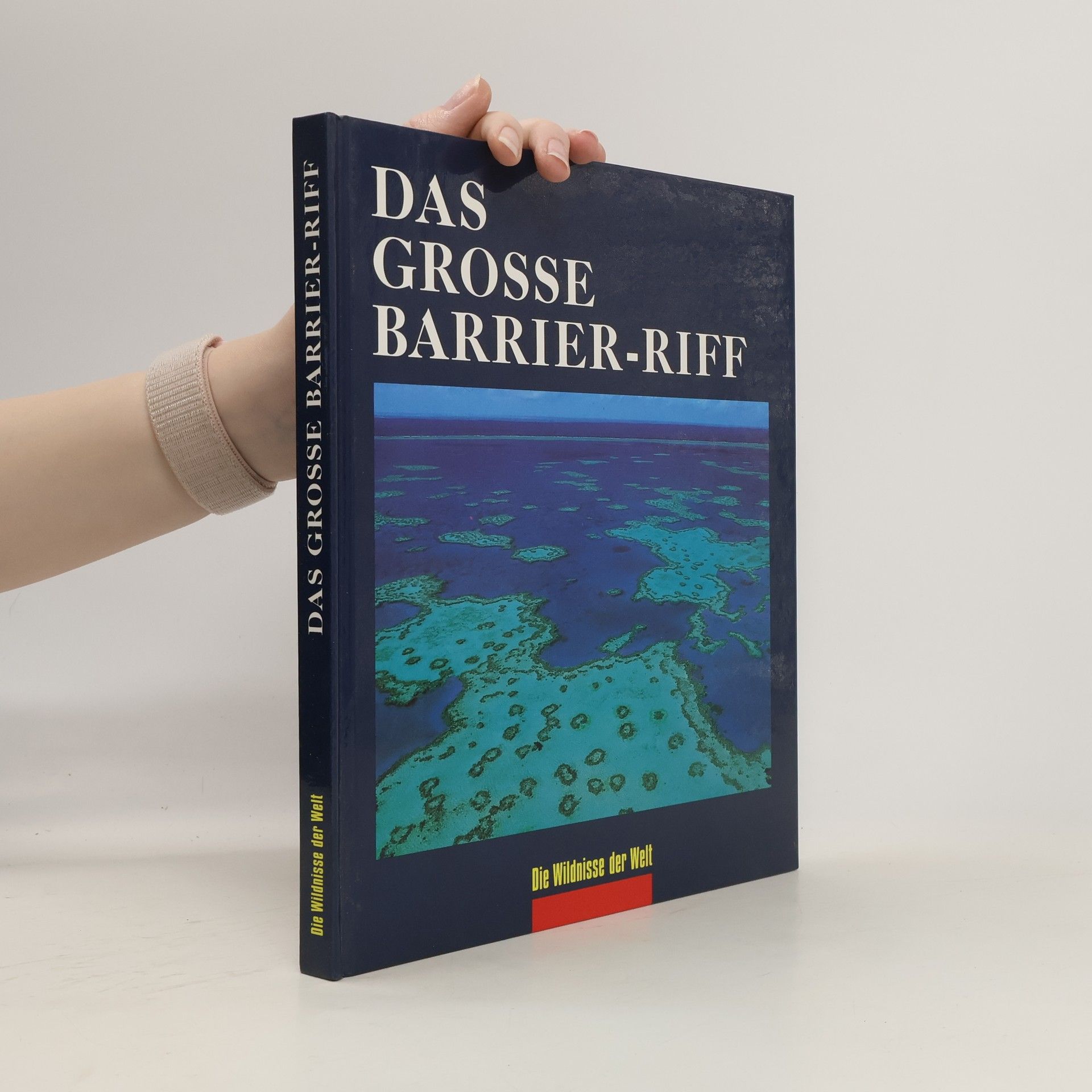 Collective Das Grosse Barrier-Riff