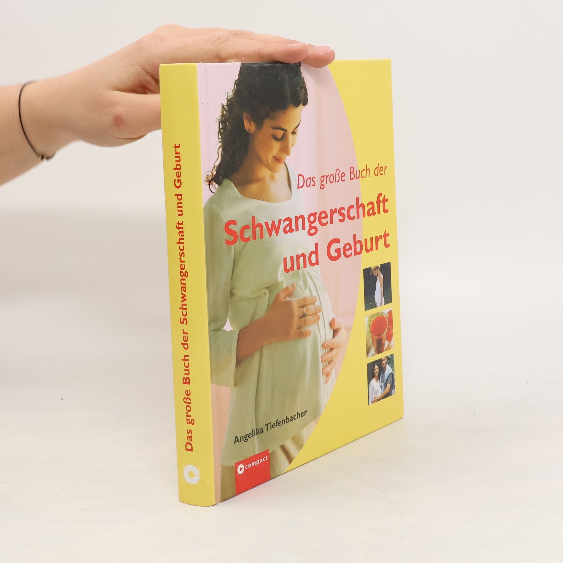 Angelika Tiefenbacher Das große Buch der Schwangerschaft und Geburt
