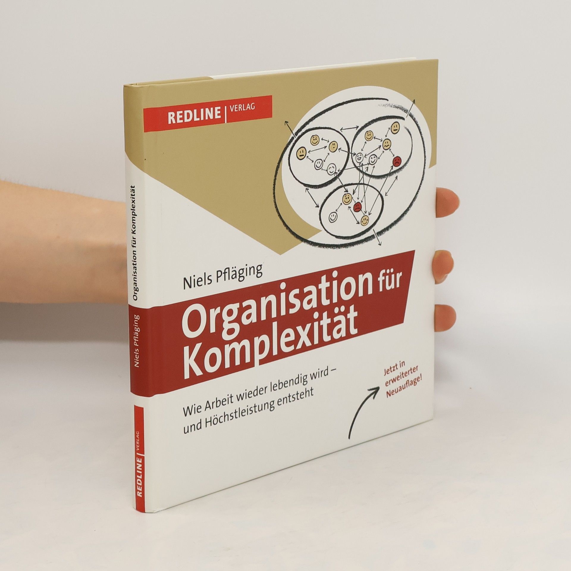 Niels Pfläging Organisation für Komplexität