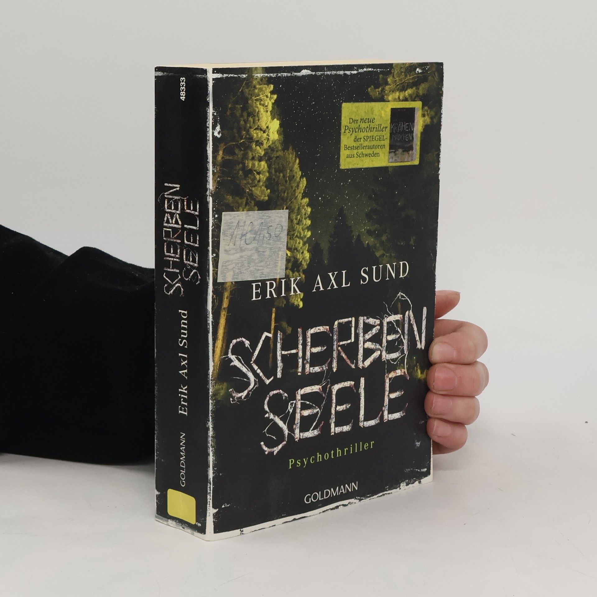 Erik Axl Sund Scherbenseele