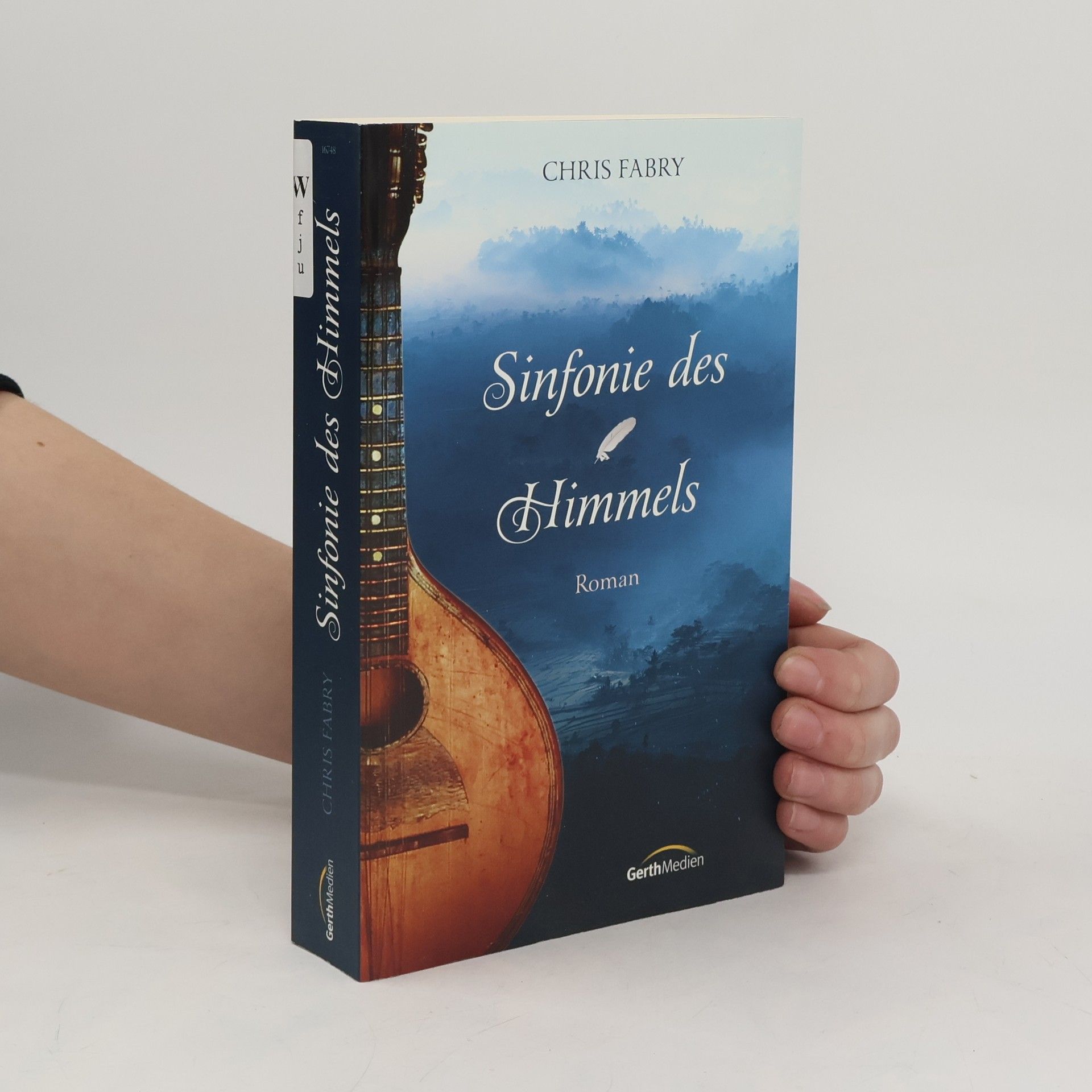 Chris Fabry Sinfonie des Himmels