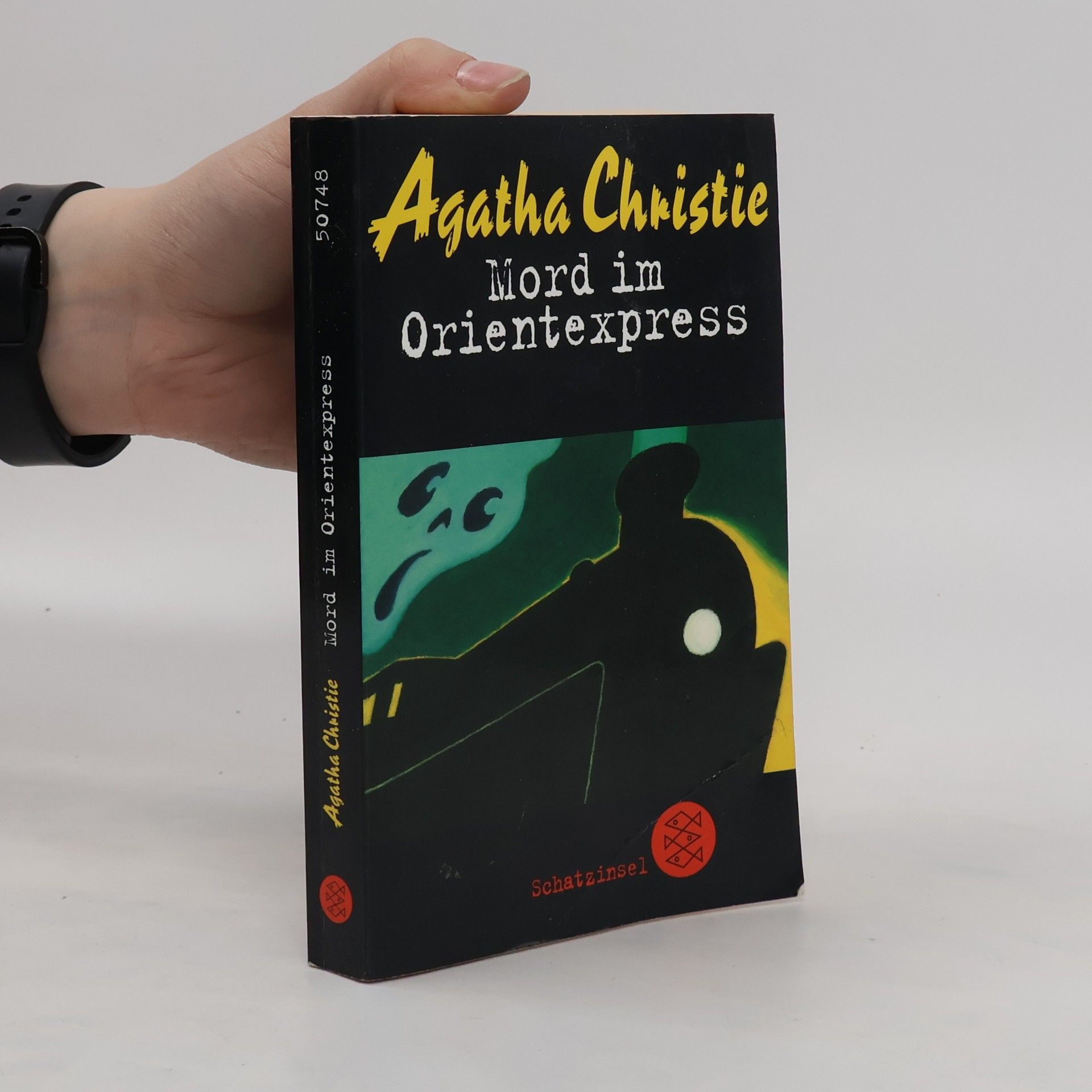 Agatha Christie Mord im Orientexpress