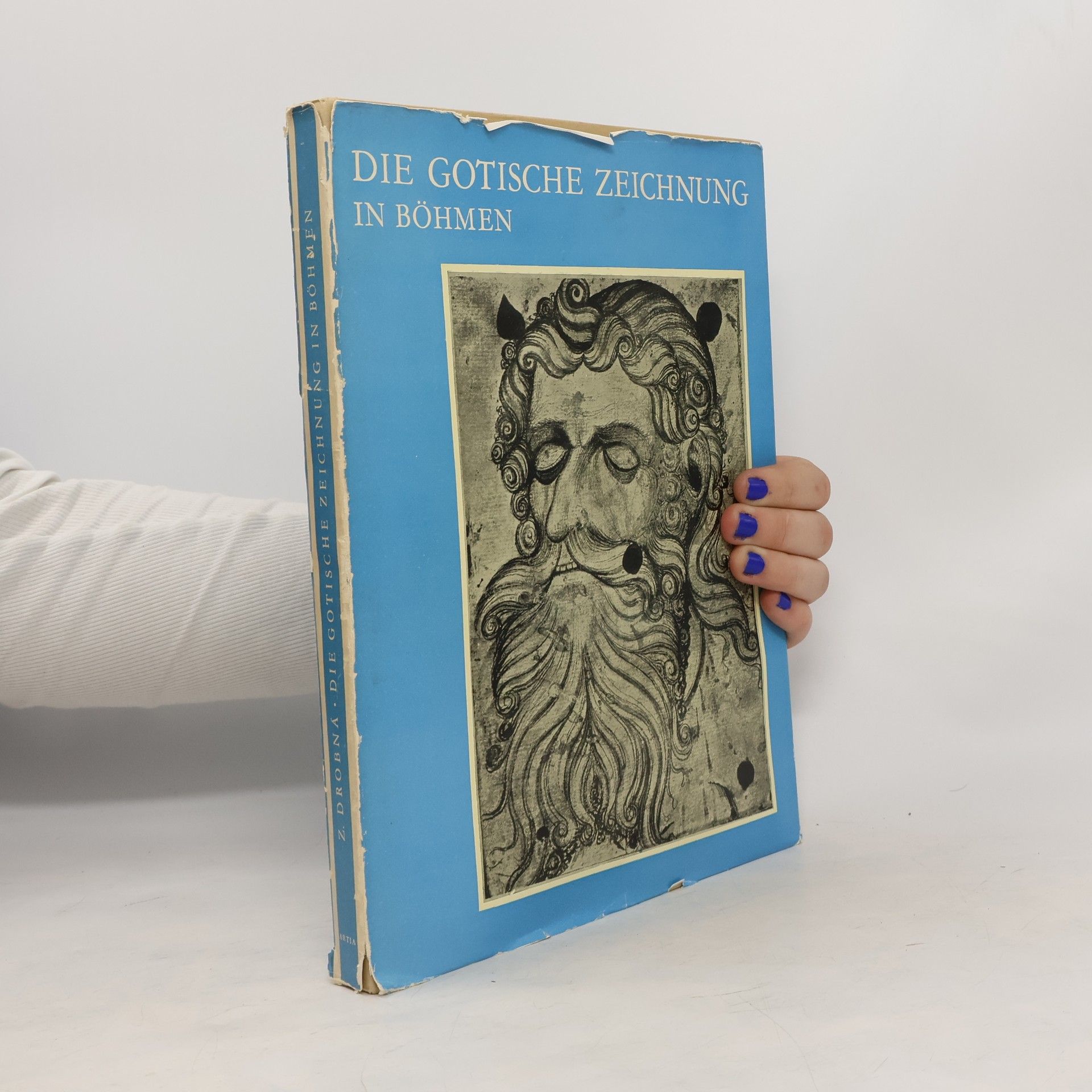 kolektiv Die gotische zeichnung in Bohmen