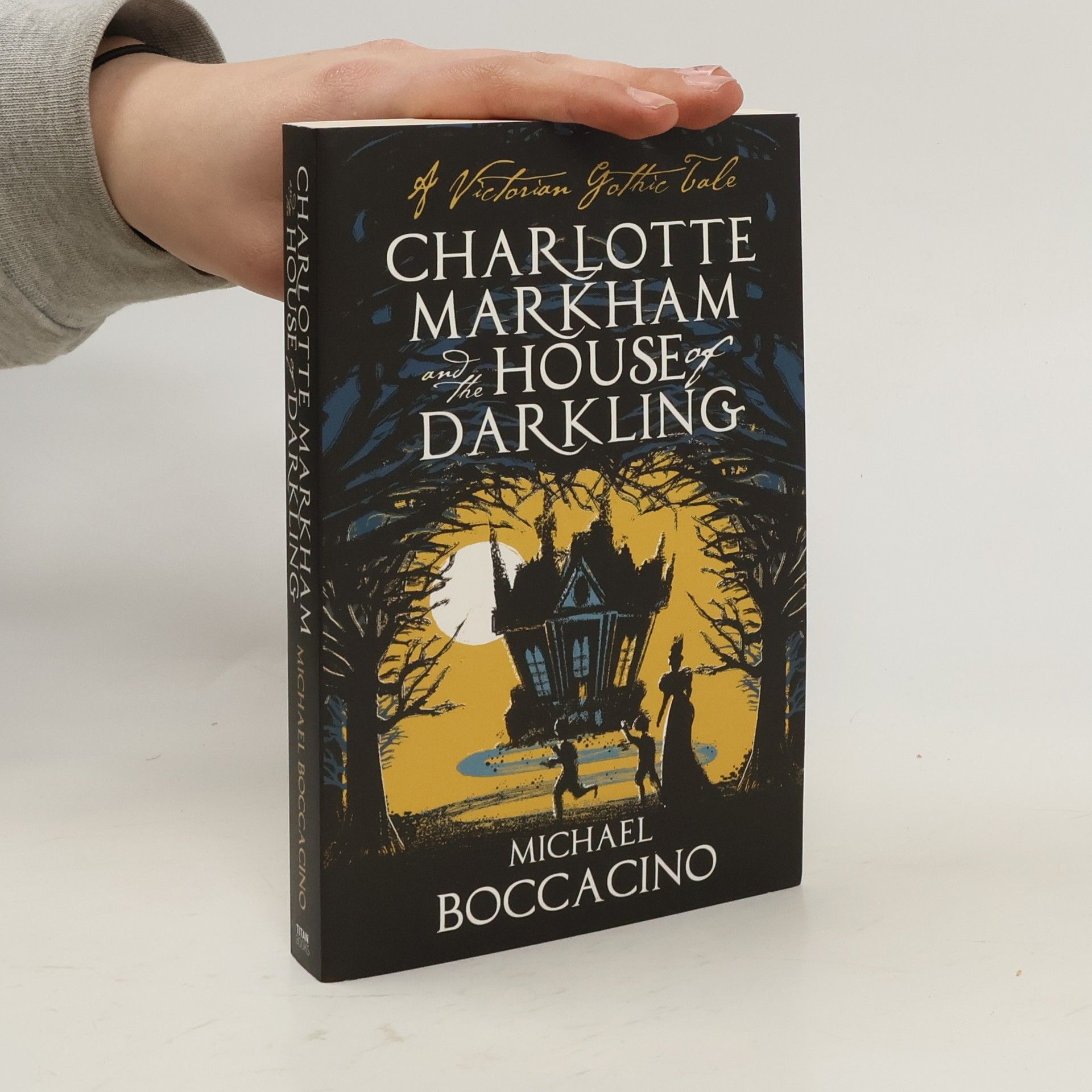 Michael Boccacino Charlotte Markham and the House of Darkling