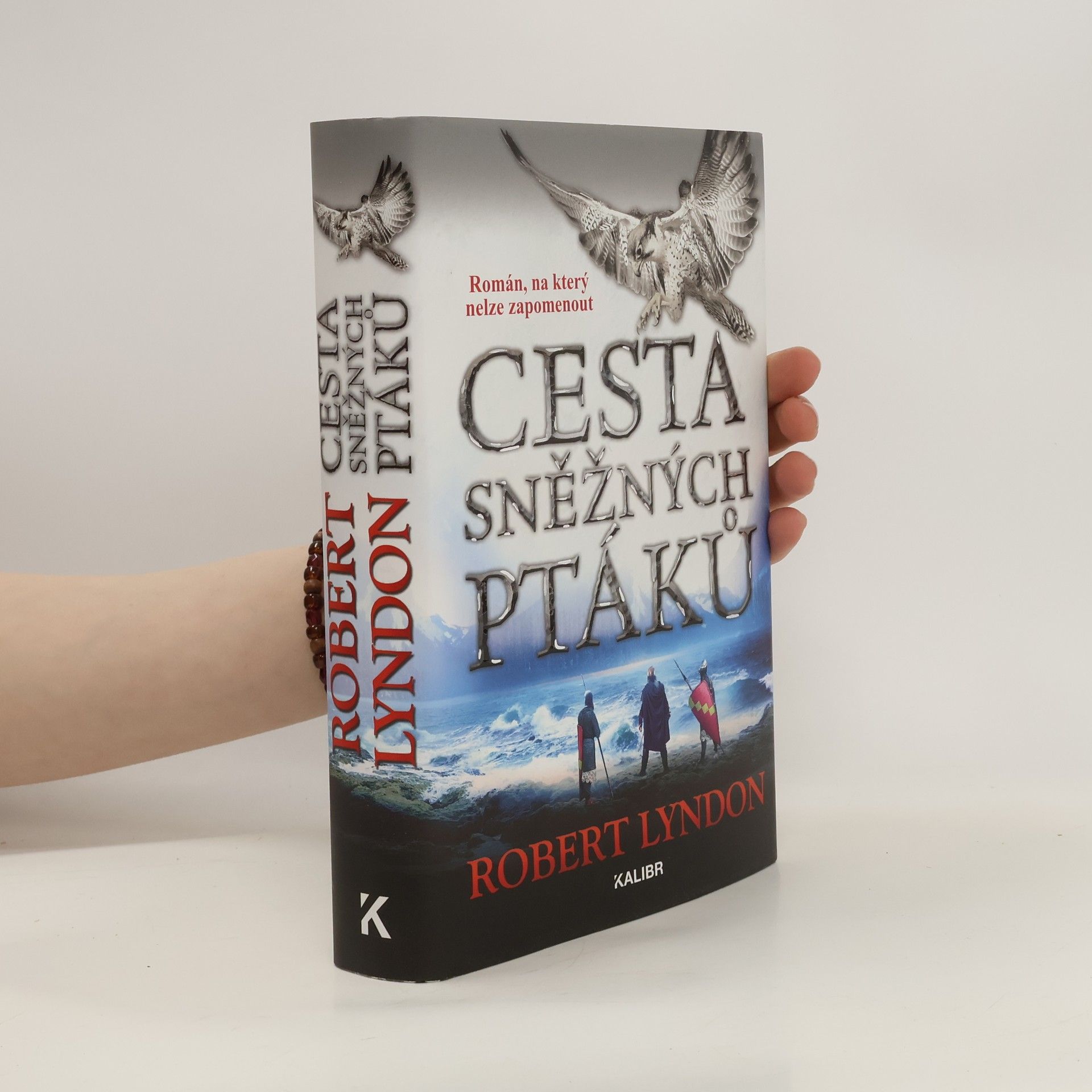 Robert Lyndon Cesta sněžných ptáků