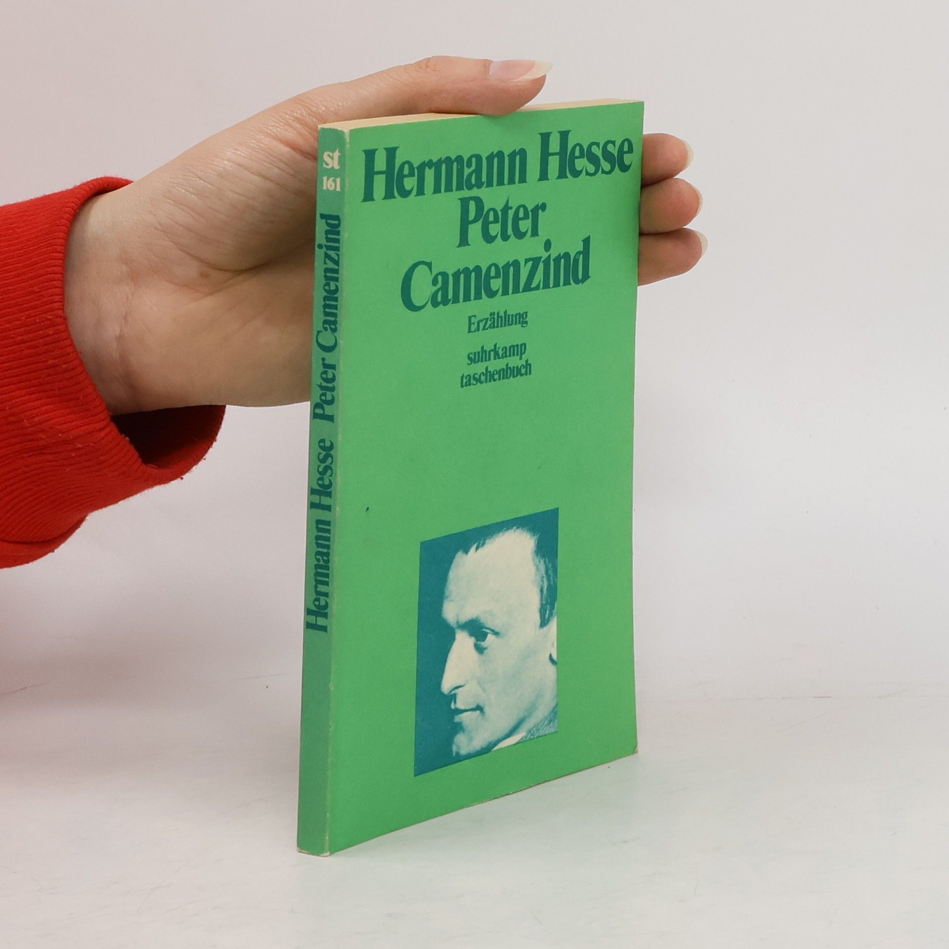Hermann Hesse Peter Camenzind