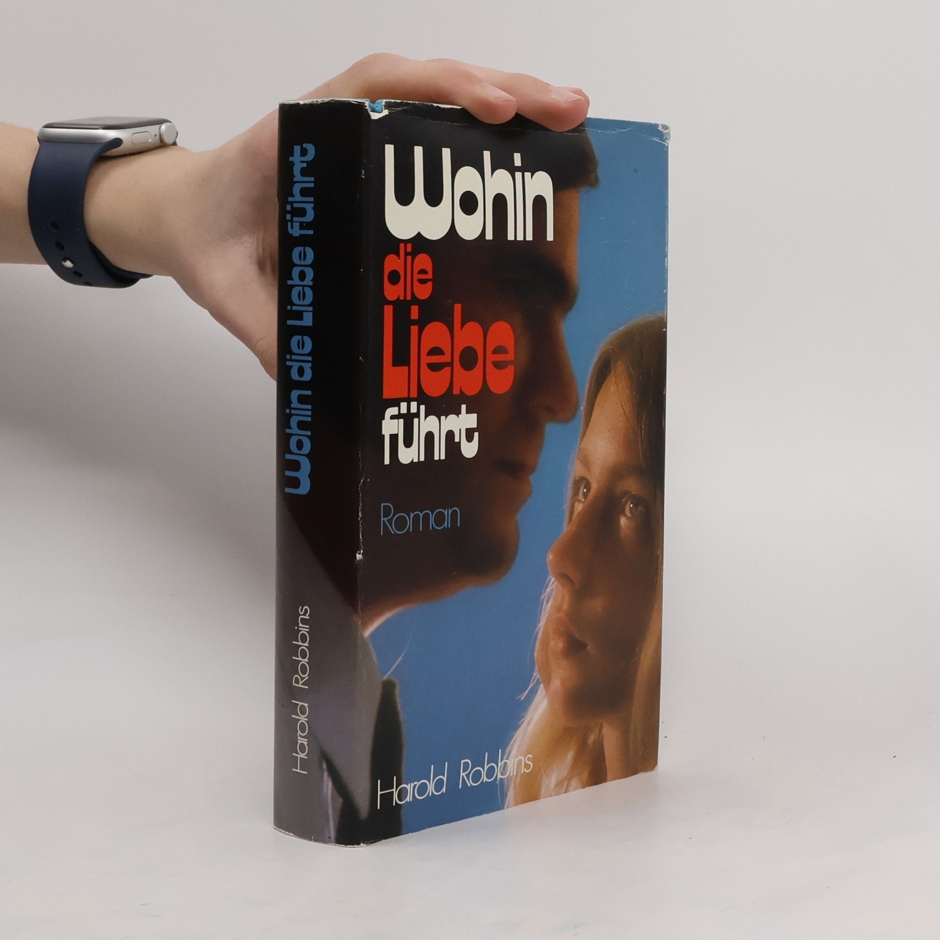 Harold Robbins Wohin die Liebe führt