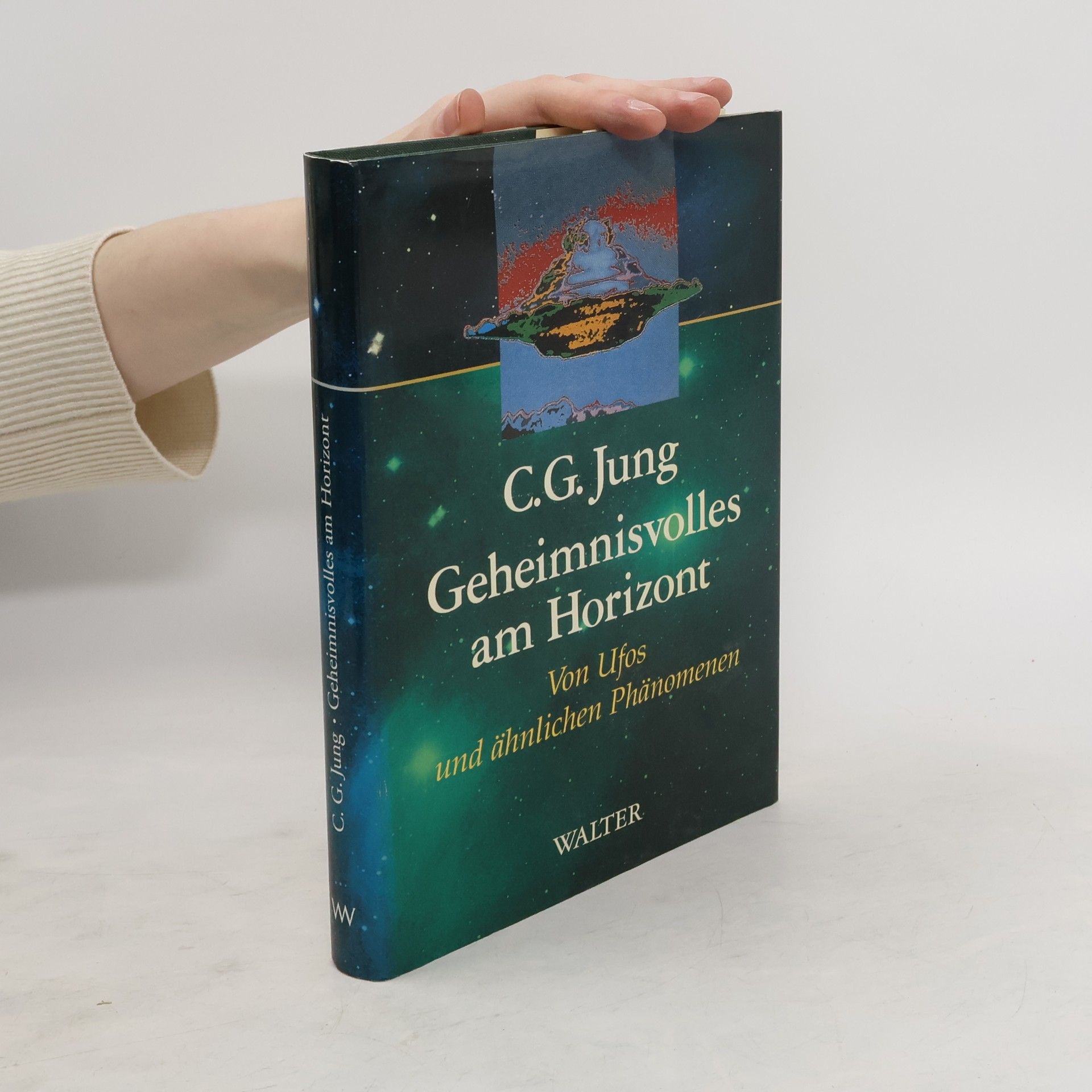 Carl Gustav Jung Geheimnisvolles am Horizont