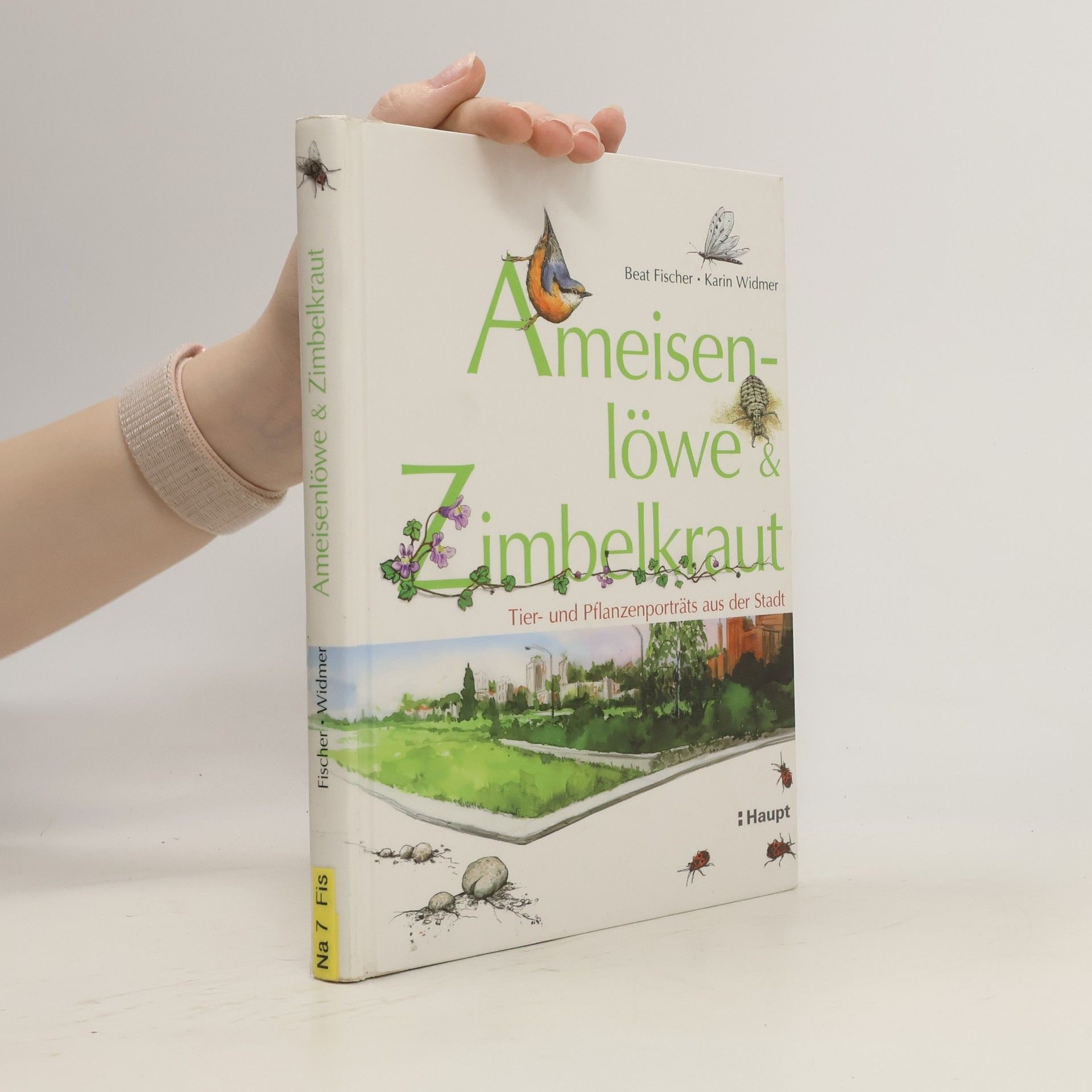 Beat Fischer Ameisenlöwe & Zimbelkraut