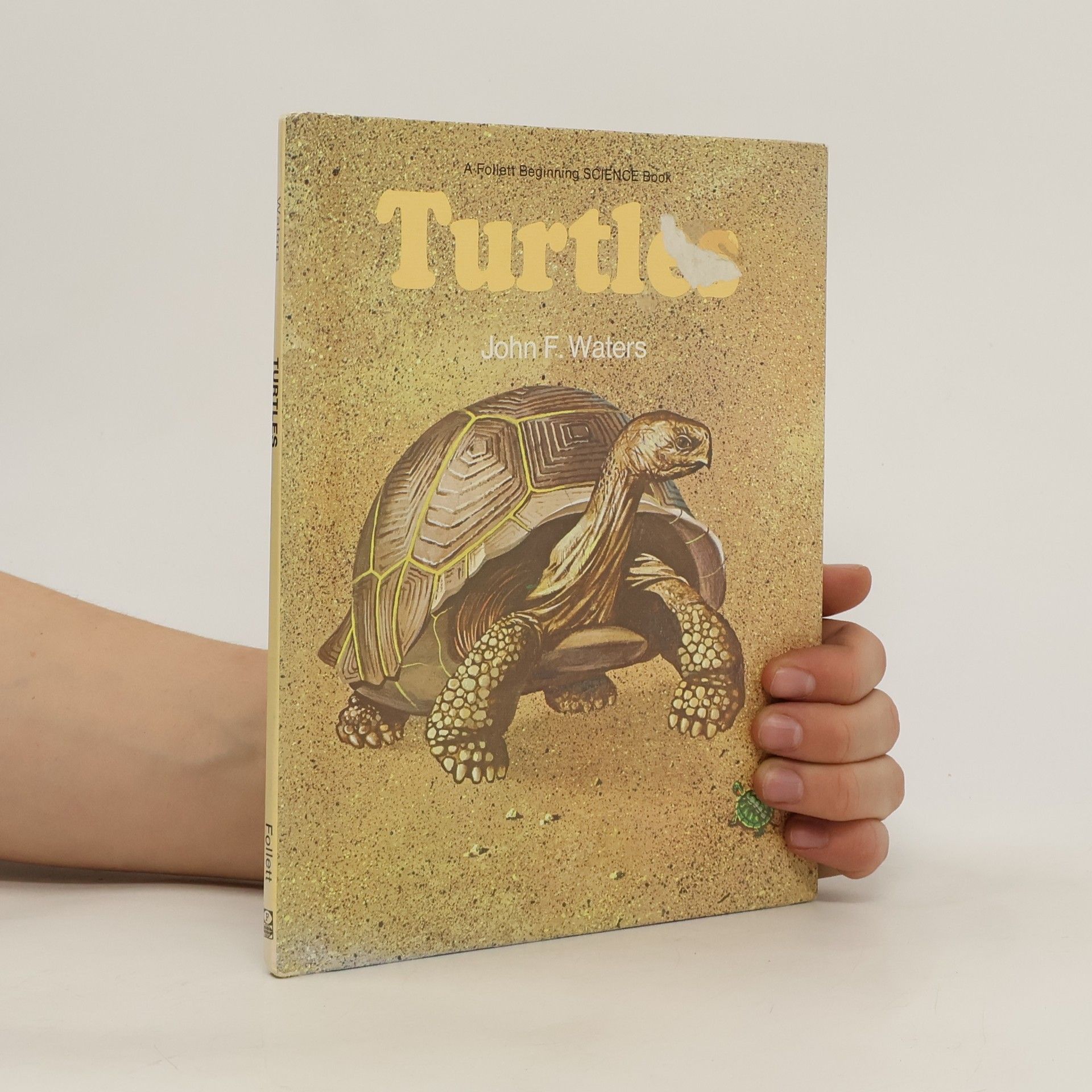 John Frederick Waters Turtles