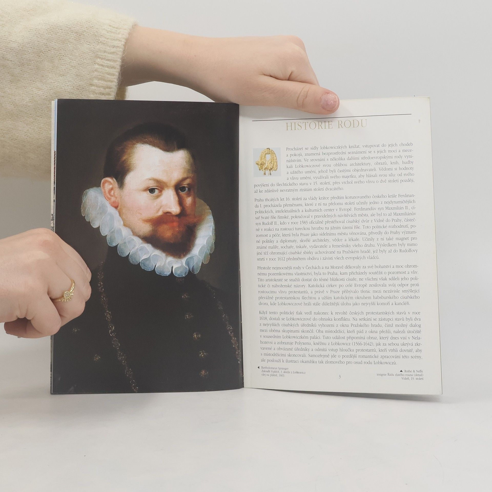 Kolektiv autorů Lobkowiczké sbírky. Umění šesti století