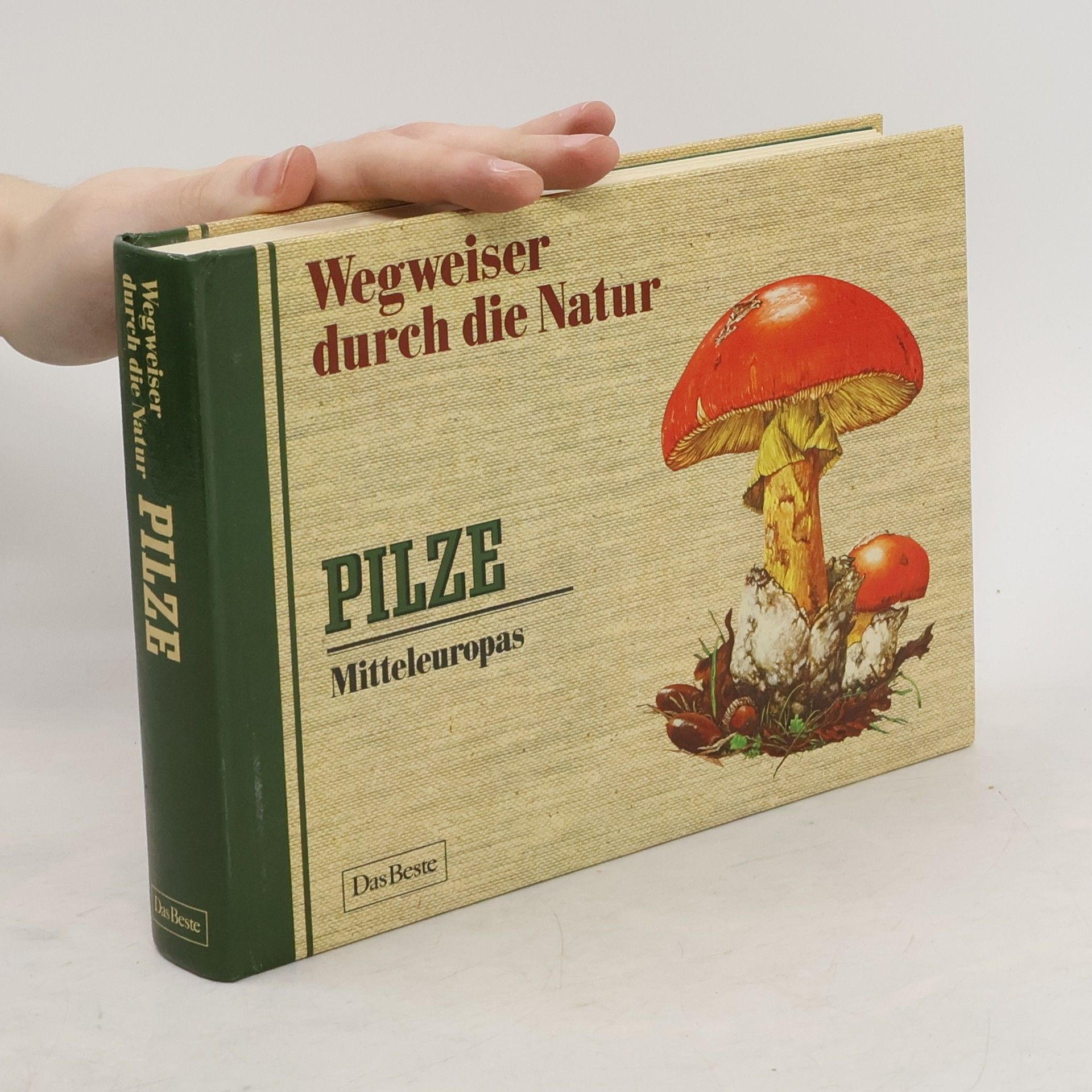 Autorenkollektiv Wegweiser durch die Natur. Pilze